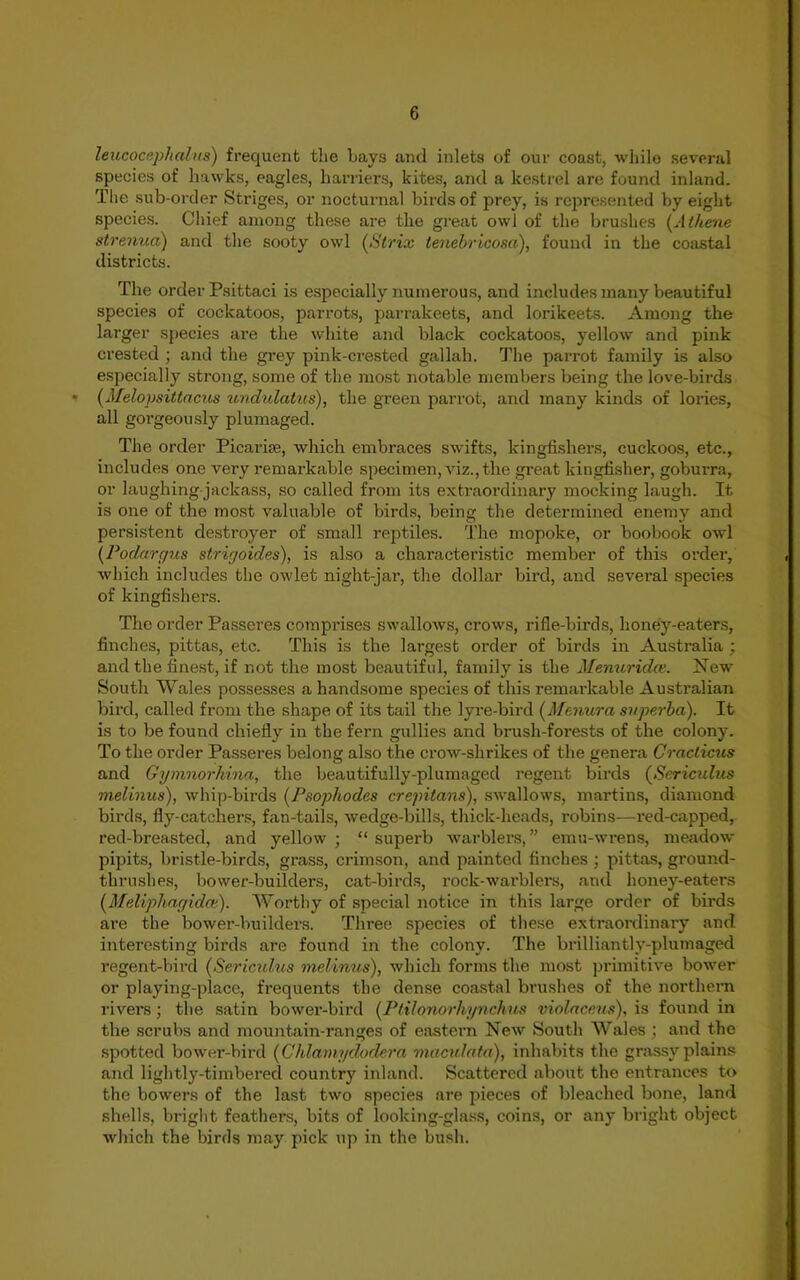 leucocephalits) frequent the bay3 anti inlets of our coast, while several species of hawks, eagles, harriers, kites, and a kestrel are found inland. The sub-order Striges, or nocturnal birds of prey, is represented by eight species. Chief among these are the great owl of the brushes (Athene strenua) and the sooty owl (Strix lenebricosa), found in the coastal districts. The order Psittaci is especially numerous, and includes many beautiful species of cockatoos, parrots, parrakeets, and lorikeets. Among the larger species are the white and black cockatoos, yellow and pink crested ; and the grey pink-crested gallah. The parrot family is also especially strong, some of the most notable members being the love-birds * (Melopsittacus undulatus), the green parrot, and many kinds of lories, all gorgeously plumaged. The order Picarise, which embraces swifts, kingfishers, cuckoos, etc., includes one very remarkable specimen, viz.,the great kingfisher, goburra, or laughing jackass, so called from its extraordinary mocking laugh. It is one of the most valuable of birds, being the determined enemy and persistent destroyer of small reptiles. The mopoke, or boobook owl (Podargus striyoides), is also a characteristic member of this order, which includes the owlet night-jar, the dollar bird, and several species of kingfishers. The order Passeres comprises swallows, crows, rifle-birds, honey-eaters, finches, pittas, etc. This is the largest order of birds in Australia ■ and the finest, if not the most beautiful, family is the Menuridce. New South Wales possesses a handsome species of this remarkable Australian bird, called from the shape of its tail the lyre-bird (Menura superba). It is to be found chiefly in the fern gullies and brush-forests of the colony. To the order Passeres belong also the crow-shrikes of the genera Cracticus and Gymnorhina, the beautifully-plumaged regent birds (Sericulus melinite), whip-birds (Psophodes crepitans), swallows, martins, diamond birds, fly-catchers, fan-tails, wedge-bills, thick-heads, robins—red-capped, red-breasted, and yellow ; “ superb warblers, ” emu-wrens, meadow pipits, bristle-birds, grass, crimson, and painted finches : pittas, ground- thrushes, bower-builders, cat-birds, rock-warblers, and honey-eaters (Meliphayidai). Worthy of special notice in this large order of birds are the bower-builders. Three species of these extraordinary and interesting birds are found in the colony. The brilliantly-plumaged regent-bird (Sericulus melinus), which forms the most primitive bower or playing-place, frequents the dense coastal brushes of the northern rivers; the satin bower-bird (Ptilonorhynchus violaceus), is found in the scrubs and mountain-ranges of eastern New South Wales; and the spotted bower-bird (Chlamydodera maculata), inhabits the grassy plains and lightly-timbered country inland. Scattered about the entrances to the bowers of the last two species are pieces of bleached bone, land shells, bright feathers, bits of looking-glass, coins, or any bright object which the birds may pick up in the bush.