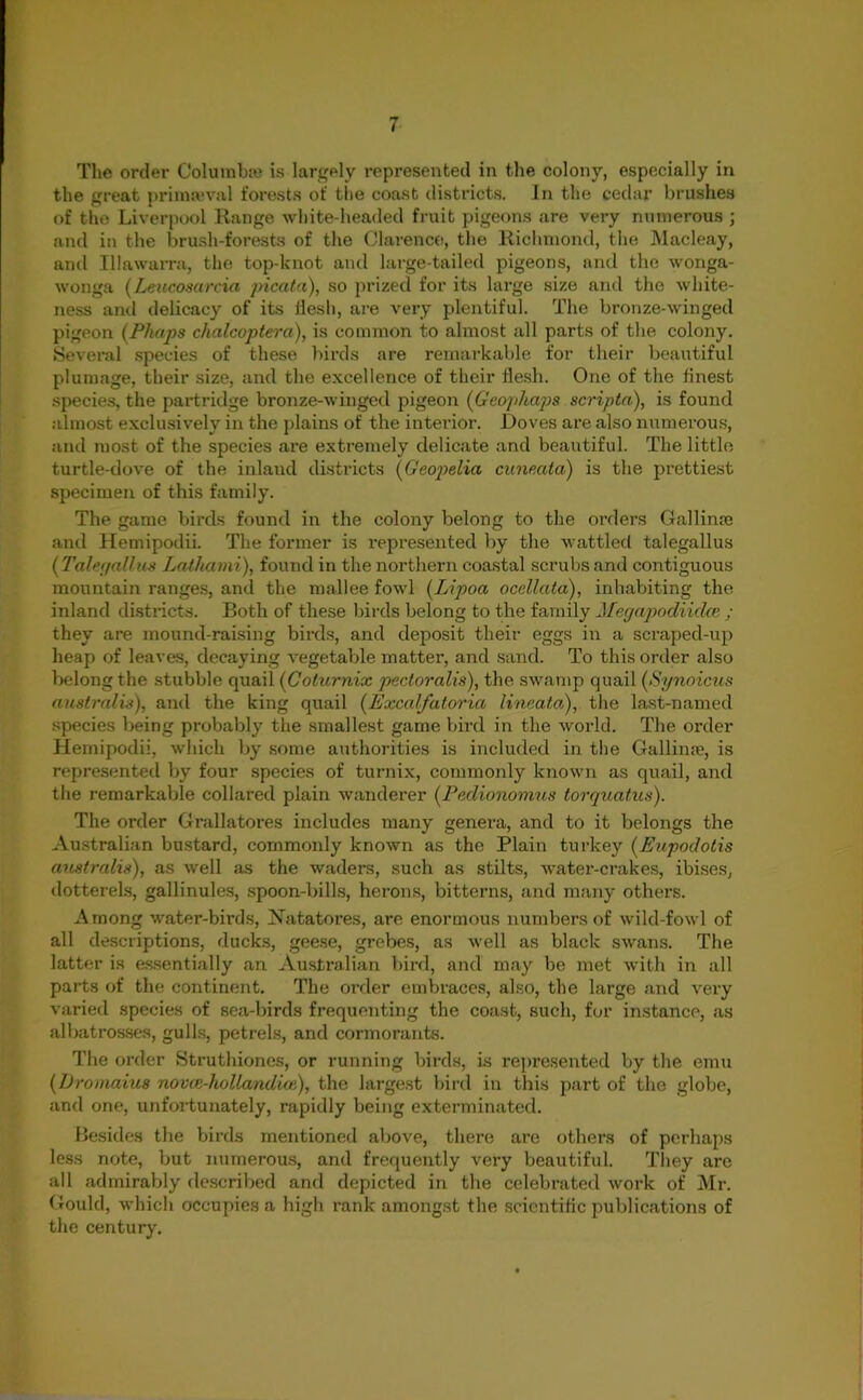 The order Columbm is largely represented in the colony, especially in the great primaeval forests of the coast districts. In the cedar brushes of the Liverpool Range white-headed fruit pigeons are vei-y numerous ; and in the brush-forests of the Clarence, the Richmond, the Macleay, and Illawarra, the top-knot and large-tailed pigeons, and the wonga- wonga (Leucosarcia picata), so prized for its large size and the white- ness and delicacy of its iiesh, are very plentiful. The bronze-winged pigeon (Pimps chalcoptera), is common to almost all parts of the colony. Several species of these birds are remarkable for their beautiful plumage, their size, and the excellence of their flesh. One of the finest species, the partridge bronze-winged pigeon (Geophaps scripta), is found almost exclusively in the plains of the interior. Doves are also numerous, and most of the species are extremely delicate and beautiful. The little turtle-dove of the inland districts \Geopelia cuneata) is the prettiest specimen of this family. The game birds found in the colony belong to the orders Gallium and Hemipodii. The former is represented by the wattled talegallus (Taler/allus Latliami), found in the northern coastal scrubs and contiguous mountain ranges, and the mallee fowl (Lipoa occllala), inhabiting the inland districts. Both of these birds belong to the family Megapodiidce ; they are mound-raising birds, and deposit their eggs in a scraped-up heap of leaves, decaying vegetable matter, and sand. To this order also belong the stubble cjuail (Coturnix pecloralis), the swamp quail (Synoicus australis), and the king quail (Excalfatoria lineata), the last-named species being probably the smallest game bird in the world. The order Hemipodii, which by some authorities is included in the Gallium, is represented by four species of turnix, commonly known as quail, and the remarkable collared plain wanderer (Pedionomus torquatus). The order Grallatores includes many genera, and to it belongs the Australian bustard, commonly known as the Plain turkey (Eupodotis australis), as well as the waders, such as stilts, water-crakes, ibises, dotterels, gallinules, spoon-bills, herons, bitterns, and many others. Among water-birds, Natatores, are enormous numbers of wild-fowl of all descriptions, ducks, geese, grebes, as well as black swans. The latter is essentially an Australian bird, and may be met with in all parts of the continent. The order embraces, also, the large and very varied species of sea-birds frequenting the coast, such, for instance, as albatrosses, gulls, petrels, and cormorants. The order Struthiones, or running birds, is represented by the emu (Dromaius novce-hollandiai), the largest bird in this part of the globe, and one, unfortunately, rapidly being exterminated. Besides the birds mentioned above, there are others of perhaps less note, but numerous, and frequently very beautiful. They are all admirably described and depicted in the celebrated work of Mr. Gould, which occupies a high rank amongst the scientific publications of the centuryr.