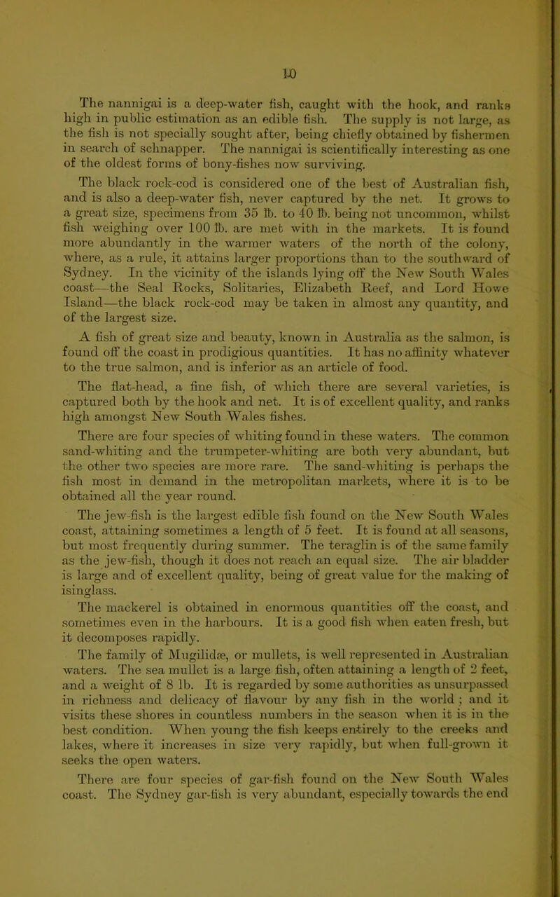 The nannigai is a deep-water fish, caught with the hook, and ranks high in public estimation as an edible fish. The supply is not large, as the fish is not specially sought after, being chiefly obtained by fishermen in search of sclinapper. The nannigai is scientifically interesting as one of the oldest forms of bony-fishes now surviving. The black rock-cod is considered one of the best of Australian fish, and is also a deep-water fish, never captured by the net. It grows to a gi'eat size, specimens from 35 lb. to 40 lb. being not uncommon, whilst fish weighing over 100 lb. are met with in the markets. It is found more abundantly in the warmer waters of the north of the colony, where, as a rule, it attains larger proportions than to the south ward of Sydney. In the vicinity of the islands lying off the New South Wales coast—the Seal Rocks, Solitaries, Elizabeth Reef, and Lord Howe Island—the black rock-cod may be taken in almost any quantity, and of the largest size. A fish of great size and beauty, known in Australia as the salmon, is found off the coast in prodigious quantities. It has no affinity whatever to the true salmon, and is inferior as an article of food. The flat-head, a fine fish, of which there are several varieties, is captured both by the hook and net. It is of excellent quality, and ranks high amongst New South Wales fishes. There are four species of whiting found in these waters. The common sand-whiting and the trumpeter-whiting are both very abundant, but the other two species are more rare. The sand-whiting is perhaps the fish most in demand in the metropolitan markets, where it is to be obtained all the year round. The jew-fish is the largest edible fish found on the New South Wales coast, attaining sometimes a length of 5 feet. It is found at all seasons, but most frequently during summer. The teraglin is of the same family as the jew-fish, though it does not reach an equal size. The air bladder is large and of excellent quality, being of great value for the making of isinglass. The mackerel is obtained in enormous quantities off the coast, and sometimes even in the harbours. It is a good fish when eaten fresh, but it decomposes rapidly. The family of Mugilidse, or mullets, is well represented in Australian waters. The sea mullet is a large fish, often attaining a length of 2 feet, and a weight of 8 lb. It is regarded by some authorities as unsurpassed in richness and delicacy of flavour by any fish in the world ; and it visits these shores in countless numbers in the season when it is in the best condition. When young the fish keeps entirely to the creeks and lakes, where it increases in size very rapidly, but when full-grown it seeks the open waters. There are four species of gar-fish found on the New South Wales coast. The Sydney gar-fish is very abundant, especially towards the end