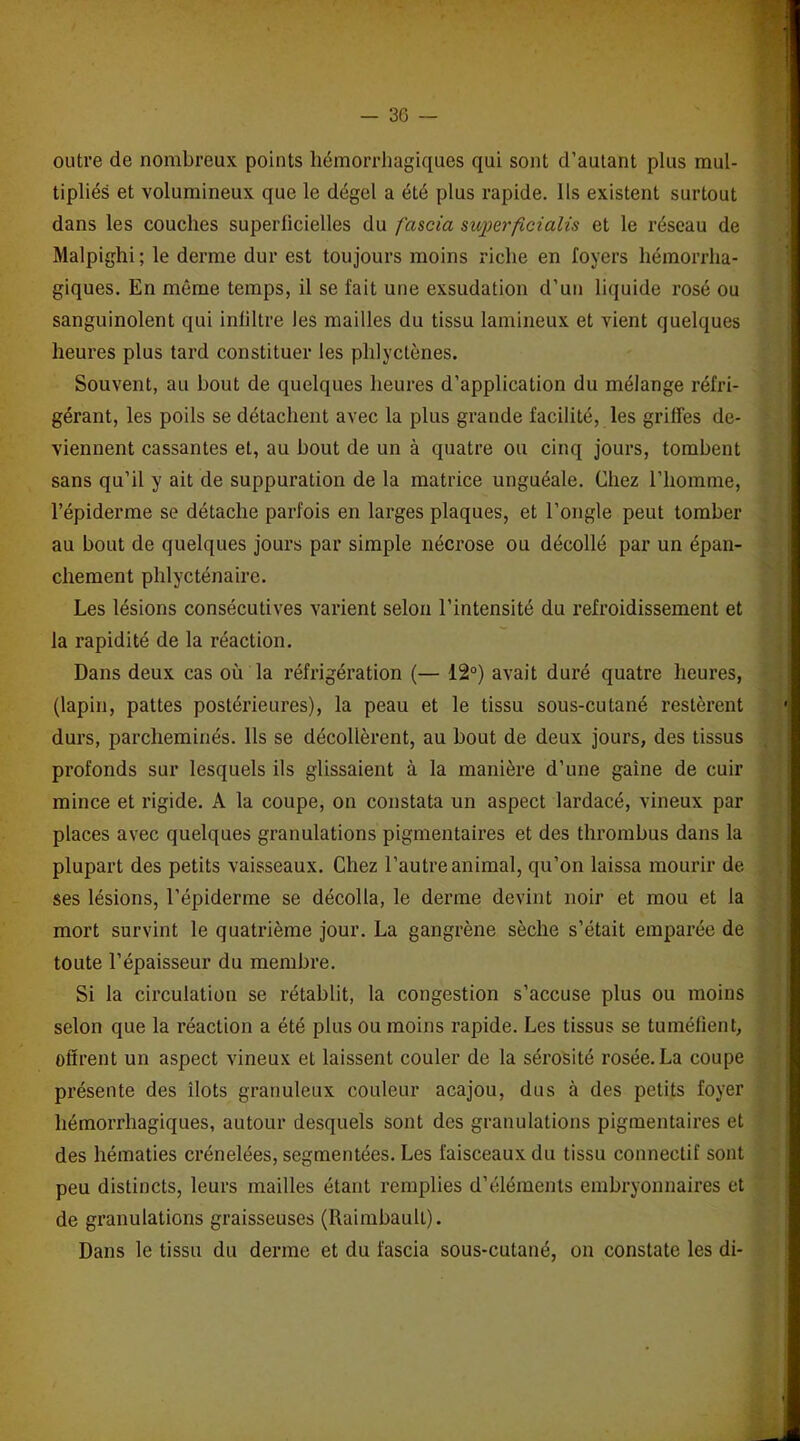 outre de nombreux points hémorrhagiques qui sont d’autant plus mul- tipliés et volumineux que le dégel a été plus rapide. Ils existent surtout dans les couches superficielles du fascia superficialis et le réseau de Malpighi; le derme dur est toujours moins riche en foyers hémorrha- giques. En même temps, il se fait une exsudation d’un liquide rosé ou sanguinolent qui infiltre les mailles du tissu lamineux et vient quelques heures plus tard constituer les phlyctènes. Souvent, au bout de quelques heures d’application du mélange réfri- gérant, les poils se détachent avec la plus grande facilité, les griffes de- viennent cassantes et, au bout de un à quatre ou cinq jours, tombent sans qu’il y ait de suppuration de la matrice unguéale. Chez l’homme, l’épiderme se détache parfois en larges plaques, et l’ongle peut tomber au bout de quelques jours par simple nécrose ou décollé par un épan- chement phlycténaire. Les lésions consécutives varient selon l’intensité du refroidissement et la rapidité de la réaction. Dans deux cas où la réfrigération (— 12°) avait duré quatre heures, (lapin, pattes postérieures), la peau et le tissu sous-cutané restèrent durs, parcheminés. Ils se décollèrent, au bout de deux jours, des tissus profonds sur lesquels ils glissaient à la manière d’une gaine de cuir mince et rigide. A la coupe, on constata un aspect lardacé, vineux par places avec quelques granulations pigmentaires et des thrombus dans la plupart des petits vaisseaux. Chez l’autre animal, qu’on laissa mourir de ses lésions, l’épiderme se décolla, le derme devint noir et mou et la mort survint le quatrième jour. La gangrène sèche s’était emparée de toute l’épaisseur du membre. Si la circulation se rétablit, la congestion s’accuse plus ou moins selon que la réaction a été plus ou moins rapide. Les tissus se tuméfient, offrent un aspect vineux et laissent couler de la sérosité rosée. La coupe présente des îlots granuleux couleur acajou, dus à des petits foyer hémorrhagiques, autour desquels sont des granulations pigmentaires et des hématies crénelées, segmentées. Les faisceaux du tissu connectif sont peu distincts, leurs mailles étant remplies d’éléments embryonnaires et de granulations graisseuses (Raimbaull). Dans le tissu du derme et du fascia sous-cutané, on constate les di-