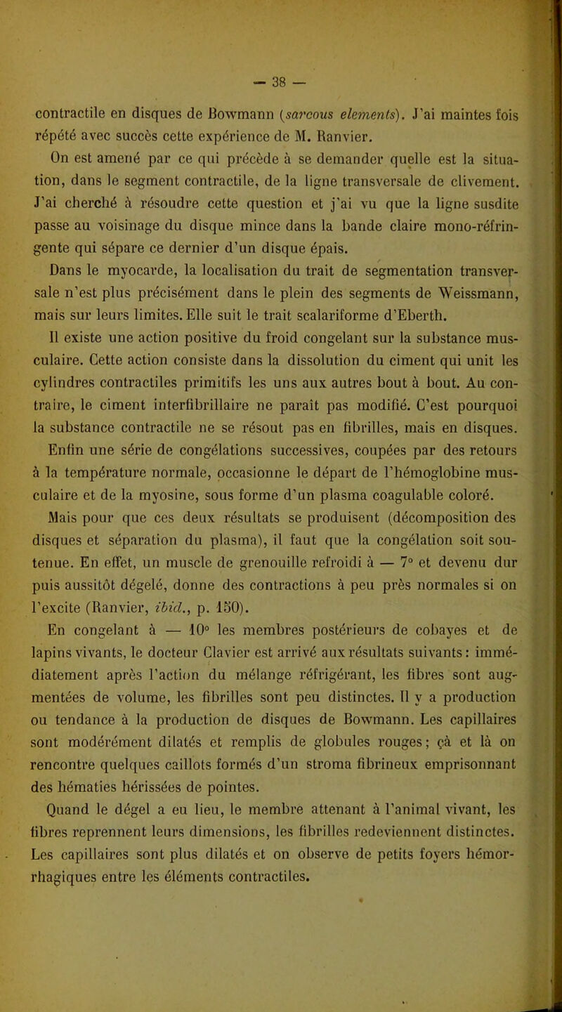 contractile en disques de JBowmann (sarcous éléments). J’ai maintes fois répété avec succès cette expérience de M. Ranvier. On est amené par ce qui précède à se demander quelle est la situa- tion, dans le segment contractile, de la ligne transversale de clivement. J’ai cherché à résoudre cette question et j’ai vu que la ligne susdite passe au voisinage du disque mince dans la bande claire mono-réfrin- gente qui sépare ce dernier d’un disque épais. Dans le myocarde, la localisation du trait de segmentation transver- sale n’est plus précisément dans le plein des segments de Weissmann, mais sur leurs limites. Elle suit le trait scalariforme d’Eberth. Il existe une action positive du froid congelant sur la substance mus- culaire. Cette action consiste dans la dissolution du ciment qui unit les cylindres contractiles primitifs les uns aux autres bout à bout. Au con- traire, le ciment interfibrillaire ne paraît pas modifié. C’est pourquoi la substance contractile ne se résout pas en fibrilles, mais en disques. Enfin une série de congélations successives, coupées par des retours à la température normale, occasionne le départ de l’hémoglobine mus- culaire et de la myosine, sous forme d’un plasma coagulable coloré. Mais pour que ces deux résultats se produisent (décomposition des disques et séparation du plasma), il faut que la congélation soit sou- tenue. En effet, un muscle de grenouille refroidi à — 7° et devenu dur puis aussitôt dégelé, donne des contractions à peu près normales si on l’excite (Ranvier, ibid., p. 150). En congelant à — 10° les membres postérieurs de cobayes et de lapins vivants, le docteur Clavier est arrivé aux résultats suivants: immé- diatement après l’action du mélange réfrigérant, les fibres sont aug- mentées de volume, les fibrilles sont peu distinctes. Il y a production ou tendance à la production de disques de Bowmann. Les capillaires sont modérément dilatés et remplis de globules rouges; çà et là on rencontre quelques caillots formés d’un stroma fibrineux emprisonnant des hématies hérissées de pointes. Quand le dégel a eu lieu, le membre attenant à l’animal vivant, les fibres reprennent leurs dimensions, les fibrilles redeviennent distinctes. Les capillaires sont plus dilatés et on observe de petits foyers hémor- rhagiques entre les éléments contractiles.