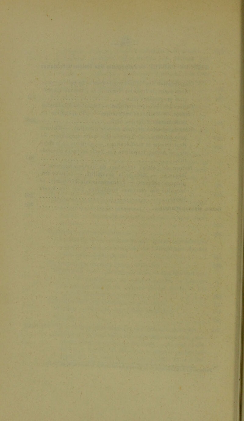 P 1 • . . ' . • .