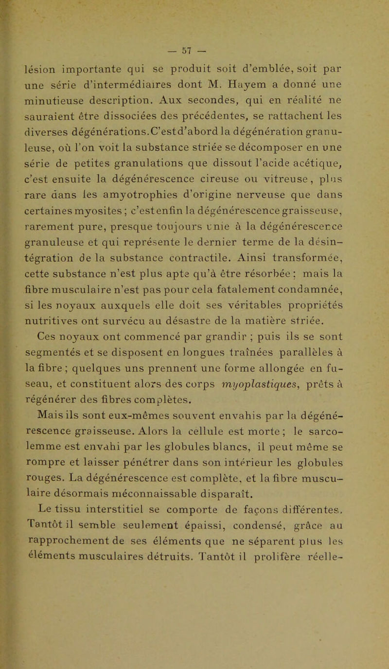 lésion importante qui se produit soit d’emblée, soit par une série d’intermédiaires dont M. Hayem a donné une minutieuse description. Aux secondes, qui en réalité ne sauraient être dissociées des précédentes, se rattachent les diverses dégénérations.C’estd’abord la dégénération granu- leuse, où l’on voit la substance striée se décomposer en une série de petites granulations que dissout l’acide acétique, c’est ensuite la dégénérescence cireuse ou vitreuse, plus rare dans les amyotrophies d’origine nerveuse que dans certaines myosites ; c’est enfin la dégénérescence graisseuse, rarement pure, presque toujours unie à la dégénérescence granuleuse et qui représente le dernier terme de la désin- tégration de la substance contractile. Ainsi transformée, cette substance n’est plus apte qu’à être résorbée ; mais la fibre musculaire n’est pas pour cela fatalement condamnée, si les noyaux auxquels elle doit ses véritables propriétés nutritives ont survécu au désastre de la matière striée. Ces noyaux ont commencé par grandir ; puis ils se sont segmentés et se disposent en longues traînées parallèles à la fibre ; quelques uns prennent une forme allongée en fu- seau, et constituent alors des corps myoplastiqu.es, prêts à régénérer des fibres complètes. Mais ils sont eux-mêmes souvent envahis par la dégéné- rescence graisseuse. Alors la cellule est morte ; le sarco- lemme est envahi par les globules blancs, il peut même se rompre et laisser pénétrer dans son intérieur les globules rouges. La dégénérescence est complète, et la fibre muscu- laire désormais méconnaissable disparaît. Le tissu interstitiel se comporte de façons différentes. Tantôt il semble seulement épaissi, condensé, grâce au rapprochement de ses éléments que ne séparent plus les éléments musculaires détruits. Tantôt il prolifère réelle-