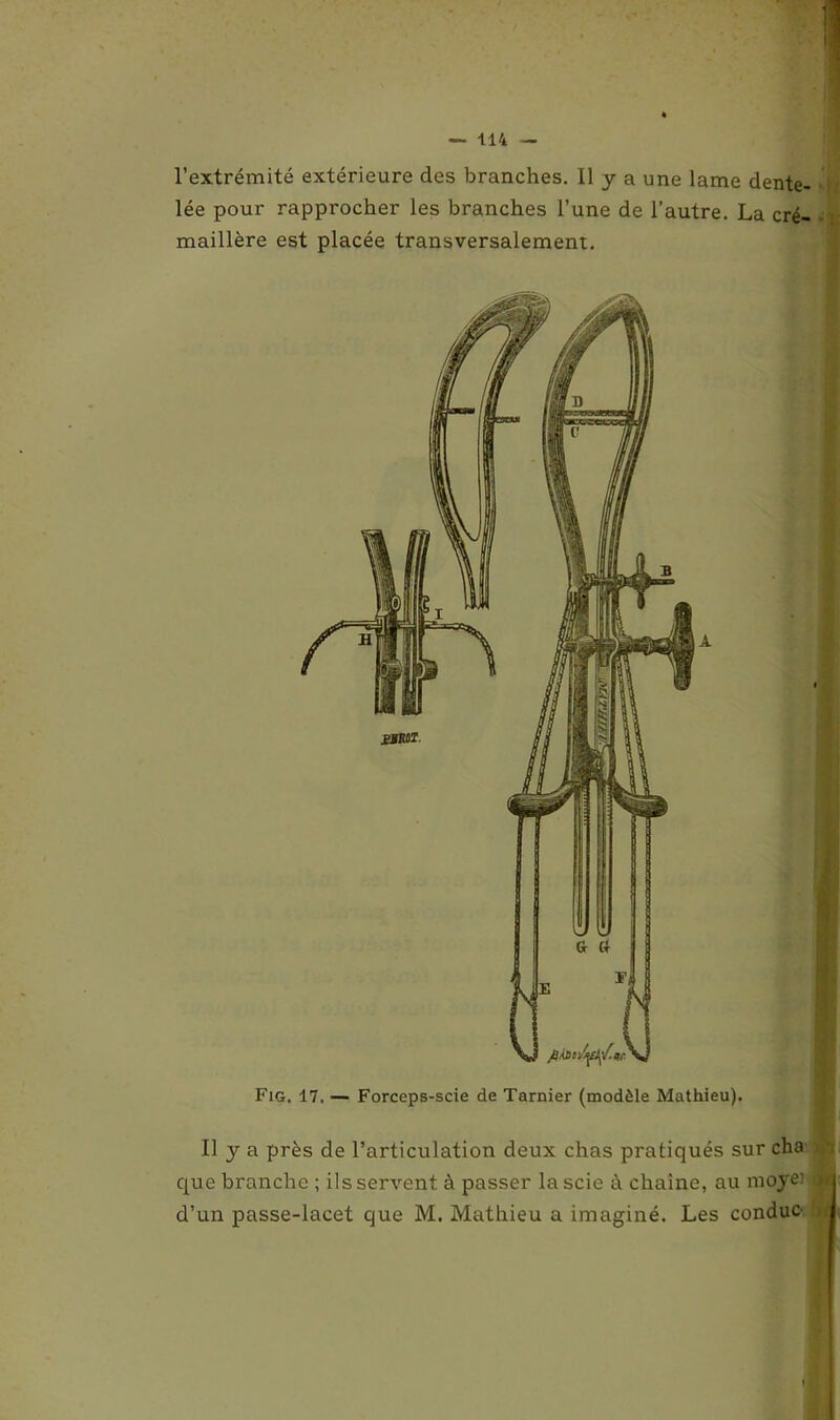 l’extrémité extérieure des branches. 11 y a une lame dente- lée pour rapprocher les branches l’une de l’autre. La cré- maillère est placée transversalement. Fig. 17. — Forceps-scie de Tarnier (modèle Mathieu). Il y a près de l’articulation deux chas pratiqués sur cha que branche ; ils servent à passer la scie à chaîne, au moye> d’un passe-lacet que M. Mathieu a imaginé. Les conduc