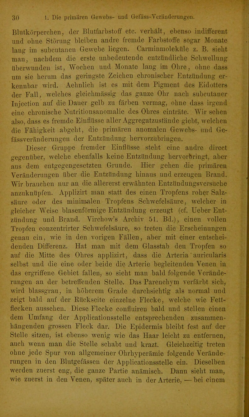 Blutkörperchen, der Blutfarbstoff etc. verhält, ebenso indifferent und ohne Störung bleiben andre fremde Farbstoffe sogar Monate lang im subcutanea Gewebe liegen. Carmihmolekttle z. B. sieht man, nachdem die erste unbedeutende entzündliche Schwellung überwunden ist, Wochen und Monate lang im Ohre, ohne dass um sie herum das geringste Zeichen chronischer Entzündung er- kennbar wird. Aelmlich ist es mit dem Pigment des Eidotters der Fall, welches gleichmässig das ganze Ohr nach subcutaner Iujection auf die Dauer gelb zu färben vermag, ohne dass irgend eine chronische Nutritionsanomalie des Ohres einträte. Wir sehen also, dass es fremde Einflüsse aller Aggregatzustände giebt, welchen die Fähigkeit abgeht, die primären anomalen Gewebs- und Ge- fässveränderungen der Entzündung hervorzubringen. Dieser Gruppe fremder Einflüsse steht eine andre direct gegenüber, welche ebenfalls keine Entzündung hervorbringt, aber aus dem entgegengesetzten Grunde. Hier gehen die primären Veränderungen über die Entzündung hinaus und erzeugen Brand. Wir brauchen nur an die allererst erwähnten Entzündungsversuche anzuknüpfen. Applizirt man statt des einen Tropfens roher Salz- säure oder des minimalen Tropfens Schwefelsäure, welcher in gleicher Weise blasenförmige Entzündung erzeugt (cf. Ueber Ent- zündung und Brand. Virchow’s Archiv 51. Bd.), einen vollen Tropfen conzentrirter Schwefelsäure, so treten die Erscheinungen genau ein, wie in den vorigen Fällen, aber mit einer entschei- denden Differenz. Hat man mit dem Glasstab den Tropfen so auf die Mitte des Ohres applizirt, dass die Arteria'auricularis selbst und die eine oder beide die Arterie begleitenden Venen in das ergriffene Gebiet fallen, so sieht man bald folgende Verände- rungen an der betreffenden Stelle. Das Parenchym verfärbt sich, wird blassgrau, in höherem Grade durchsichtig als normal und zeigt bald auf der Rückseite einzelne Flecke, welche wie Fett- flecken aussehen. Diese Flecke eonfluiren bald und stelleu einen dem Umfang der Applicationsstelle entsprechenden zusammen- hängenden grossen Fleck dar. Die Epidermis bleibt fest auf der Stelle sitzen, ist ebenso wenig wie das Haar leicht zu entfernen, auch wenn man die Stelle schabt und krazt. Gleichzeitig treten ohne jede Spur von allgemeiner Ohrhyperämie folgende Verände- rungen in den Blutgefässen der Applicationsstell-e ein. Dieselben werden zuerst eng, die ganze Partie anämisch. Dann sieht man, wie zuerst in den Venen, später auch in der Arterie,—bei einem