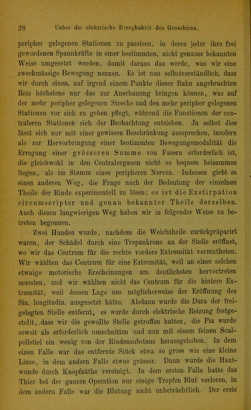 peripher gelegenen Stationen zu passiren, in deren jeder ihre frei gewordenen Spannkräfte in einer bestimmten, nicht genauer bekannten Weise umgesetzt werden, damit daraus das werde, was wir eine zweckmässige Bewegung nennen. Es ist nun selbstverständlich, dass wir durch einen, auf irgend einem Punkte dieser Bahn angebrachten Reiz höchstens nur das zur Anschauung bringen können, was auf der mehr peripher gelegenen Strecke und den mehr peripher gelegenen Stationen vor sich zu gehen pflegt, während die Functionen der cen- traleren Stationen sich der Beobachtung entziehen. Ja selbst dies lässt sich nur mit einer gewissen Beschränkung aussprechen, insofern als zur Hervorbringung einer bestimmten Bewegungsmodalität die Erregung einer grösseren Summe von Fasern erforderlich ist, die gleichwohl in den Centralorganen nicht so bequem beisammen liegen, als im Stamm eines peripheren Nerven. Indessen giebt es einen anderen Weg, die Frage nach der Bedeutung der einzelnen Theile der Rinde experimentell zu lösen; es ist die Exstirpation circumscripter und genau bekannter Theile derselben. Auch diesen langwierigen Weg haben wir in folgender Weise zu be- treten begonnen. Zwei Hunden wurde, nachdem die Weich theile zurückpräparirt waren, der Schädel durch eine Trepankrone an der Stelle eröffnet, wo wir das Centrum für die rechte vordere Extremität vermutheten. Wir wählten das Centrum für eine Extremität, weil an einer solchen etwaige motorische Erscheinungen am deutlichsten hervortreten mussten, und wir wählten nicht das Centrum für die hintere Ex- tremität, weil dessen Lage uns möglicherweise der Eröffnung des Sin. longitudin. ausgesetzt hätte. Alsdann wurde die Dura der frei- gelegten Stelle entfernt, es wurde durch elektrische Reizung festge- stellt,,dass wir die gewollte Stelle getroffen hatten, die Pia wurde soweit als erforderlich Umschnitten und nun mit einem feinen Scal- pellstiel ein wenig von der Rindensubstanz herausgehoben. In dem einen Falle war das entfernte Stück etwa so gross wie eine kleine Linse, in dem andern Falle etwas grösser. Dann wurde die Haut- wunde durch Knopfnüthe vereinigt. In dem ersten Falle hatte das Thier bei der ganzen Operation nur einige Tropfen Blut verloren, in dem andern Falle war die Blutung nicht unbeträchtlich. Der erste