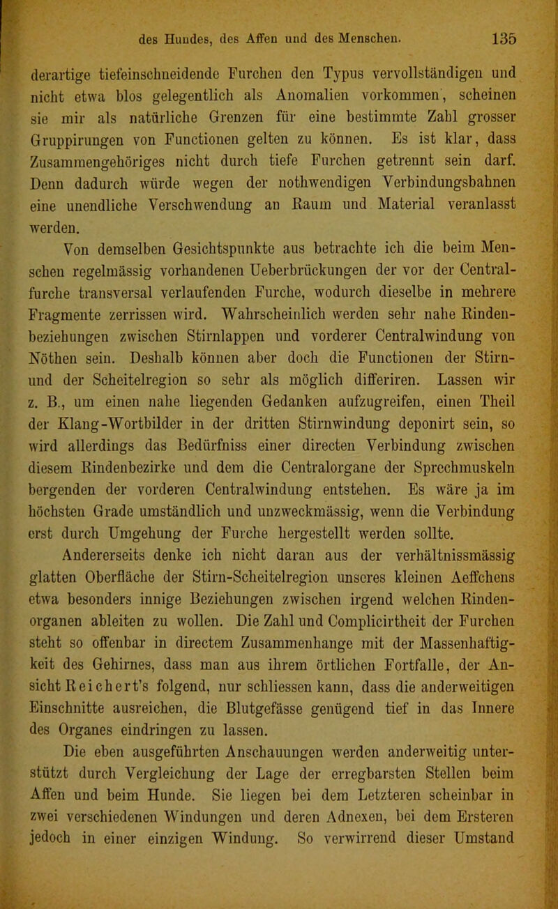 derartige tiefeinschneidende Furchen den Typus vervollständigen und nicht etwa blos gelegentlich als Anomalien Vorkommen, scheinen sie mir als natürliche Grenzen für eine bestimmte Zahl grosser Gruppirungen von Functionen gelten zu können. Es ist klar, dass Zusammengehöriges nicht durch tiefe Furchen getrennt sein darf. Denn dadurch würde wegen der nothwendigen Verbindungsbahnen eine unendliche Verschwendung an Raum und Material veranlasst werden. Von demselben Gesichtspunkte aus betrachte ich die beim Men- schen regelmässig vorhandenen Ueberbriickungen der vor der Central- furche transversal verlaufenden Furche, wodurch dieselbe in mehrere Fragmente zerrissen wird. Wahrscheinlich werden sehr nahe Rinden- beziehungen zwischen Stirnlappen und vorderer Centralwindung von Nöthen sein. Deshalb können aber doch die Functionen der Stirn- und der Scheitelregion so sehr als möglich differiren. Lassen wir z. B., um einen nahe liegenden Gedanken aufzugreifen, einen Theil der Klang-Wortbilder in der dritten Stirnwindung deponirt sein, so wird allerdings das Bedürfnis einer directen Verbindung zwischen diesem Rindenbezirke und dem die Centralorgane der Sprechmuskeln bergenden der vorderen Centralwindung entstehen. Es wäre ja im höchsten Grade umständlich und unzweckmässig, wenn die Verbindung erst durch Umgehung der Furche hergestellt werden sollte. Andererseits denke ich nicht daran aus der verhältnissmässig glatten Oberfläche der Stirn-Scheitelregion unseres kleinen Aeffchens etwa besonders innige Beziehungen zwischen irgend welchen Rinden- organen ableiten zu wollen. Die Zahl und Complicirtheit der Furchen steht so offenbar in directem Zusammenhänge mit der Massenhaftig- keit des Gehirnes, dass man aus ihrem örtlichen Fortfalle, der An- sicht Reich ert’s folgend, nur schliessen kann, dass die anderweitigen Einschnitte ausreichen, die Blutgefässe genügend tief in das Innere des Organes eindringen zu lassen. Die eben ausgeführten Anschauungen werden anderweitig unter- stützt durch Vergleichung der Lage der erregbarsten Stellen beim Affen und beim Hunde. Sie liegen bei dem Letzteren scheinbar in zwei verschiedenen Windungen und deren Adnexen, bei dem Ersteren jedoch in einer einzigen Windung. So verwirrend dieser Umstand
