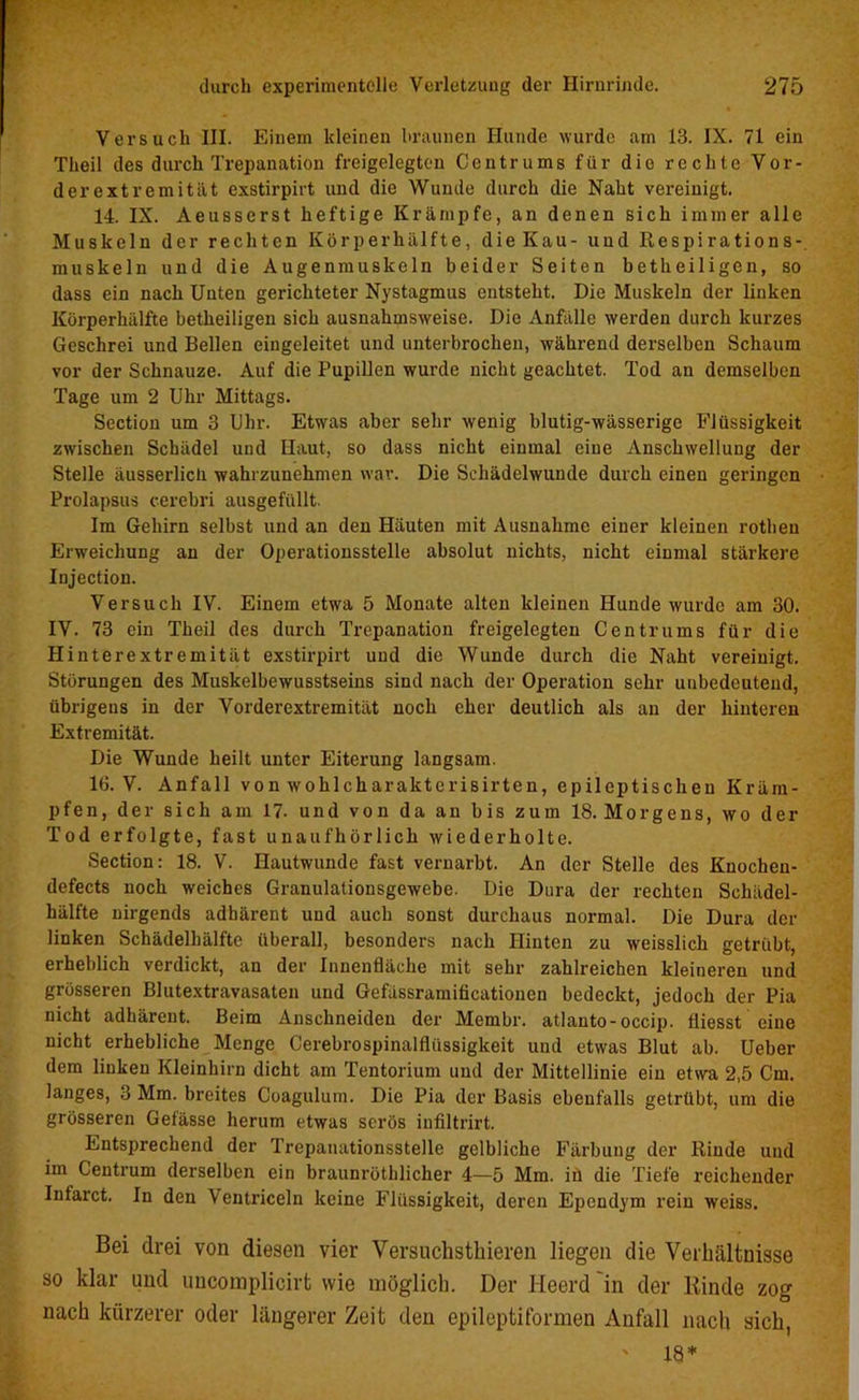 Versuch III. Einem kleinen braunen Hunde wurde am 13. IX. 71 ein Theil des durch Trepanation freigelegten Centrums für die rechte Vor- derextremität exstirpirt und die Wunde durch die Naht vereinigt. 14. IX. Aeusserst heftige Krämpfe, an denen sich immer alle Muskeln der rechten Körperhälfte, die Kau- und Respirations-, muskeln und die Augenmuskeln beider Seiten betheiligen, so dass ein nach Unten gerichteter Nystagmus entsteht. Die Muskeln der linken Körperhälfte betheiligen sich ausnahmsweise. Die Anfälle werden durch kurzes Geschrei und Bellen eingeleitet und unterbrochen, während derselben Schaum vor der Schnauze. Auf die Pupillen wurde nicht geachtet. Tod an demselben Tage um 2 Uhr Mittags. Section um 3 Uhr. Etwas aber sehr wenig blutig-wässerige Flüssigkeit zwischen Schädel und Haut, so dass nicht einmal eine Anschwellung der Stelle äusserlich wahrzunehmen war. Die Schädelwunde durch einen geringen Prolapsus cerebri ausgefüllt. Im Gehirn selbst und an den Häuten mit Ausnahme einer kleinen rotlien Erweichung an der Operationsstelle absolut nichts, nicht einmal stärkere Injection. Versuch IV. Einem etwa 5 Monate alten kleinen Hunde wurde am 30. IV. 73 ein Theil des durch Trepanation freigelegten Centrums für die Plinterextremität exstirpirt und die Wunde durch die Naht vereinigt. Störungen des Muskelbewusstseins sind nach der Operation sehr unbedeutend, übrigens in der Vorderextremität noch eher deutlich als an der hinteren Extremität. Die Wunde heilt unter Eiterung langsam. 16. V. Anfall von wohlcharakterisirten, epileptischen Kräm- pfen, der sich am 17. und von da an bis zum 18. Morgens, wo der Tod erfolgte, fast unaufhörlich wiederholte. Section: 18. V. Hautwunde fast vernarbt. An der Stelle des Knochen- defects noch weiches Granulationsgewebe. Die Dura der rechten Schädel- hälfte nirgends adhärent und auch sonst durchaus normal. Die Dura der linken Schädelhälfte überall, besonders nach Hinten zu weisslich getrübt, erheblich verdickt, an der Innenfläche mit sehr zahlreichen kleineren und grösseren Blutextravasaten und Gefässramiticationen bedeckt, jedoch der Pia nicht adhärent. Beim Anschneideu der Membr. atlanto-occip. fliesst eine nicht erhebliche Menge Cerebrospinalflüssigkeit und etwas Blut ab. Ueber dem linken Kleinhirn dicht am Tentorium und der Mittellinie ein etwa 2,5 Cm. langes, 3 Mm. breites Coagulum. Die Pia der Basis ebenfalls getrübt, um die grösseren Gefässe herum etwas serös infiltrirt. Entsprechend der Trepanationsstelle gelbliche Färbung der Rinde und im Centrum derselben ein braunrüthlicher 4—5 Mm. in die Tiefe reichender Infarct. In den Ventriceln keine Flüssigkeit, deren Ependym rein weiss. Bei drei von diesen vier Versuclisthieren liegen die Verhältnisse so klar und uncomplicirt wie möglich. Der Heerd 'in der Rinde zog nach kürzerer oder längerer Zeit den epileptiformen Anfall nach sich, ' 18*