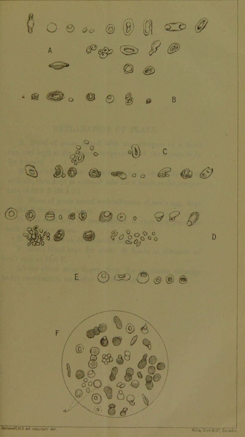 ad oAtunm do' Mlil% D>ck(lC“ (}i;.i«iji-