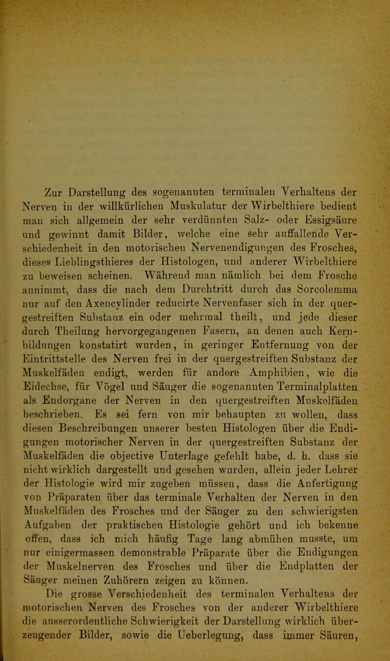 Zur Darstellung des sogenannten terminalen Verhaltens der Nerven in der willkürlichen Muskulatur der Wirbelthiere bedient man sich allgemein der sehr verdünnten Salz- oder Essigsäure und gewinnt damit Bilder, welche eine sehr auffallende Ver- schiedenheit in den motorischen Nervenendigungen des Frosches, dieses Lieblingsthieres der Histologen, und anderer Wirbelthiere zu beweisen scheinen. Während man nämlich bei dem Frosche annimmt, dass die nach dein Durchtritt durch das Sorcolemma nur auf den Axencylinder reducirte Nervenfaser sich in der quer- gestreiften Substanz ein oder mehrmal theilt, und jede dieser durch Theilung hervorgegangenen Fasern, an denen auch Kern- bildungen konstatirt wurden, in geringer Entfernung von der Eintrittstelle des Nerven frei in der quergestreiften Substanz der Muskelfäden endigt, werden für andere Amphibien, wie die Eidechse, für Vögel und Säuger die sogenannten Terminalplatten als Endorgane der Nerven in den quergestreiften Muskelfäden beschrieben. Es sei fern von mir behaupten zu wollen, dass diesen Beschreibungen unserer besten Histologen über die Endi- gungen motorischer Nerven in der quergestreiften Substanz der Muskelfäden die objective Unterlage gefehlt habe, d. h. dass sie nicht wirklich dargestellt und gesehen wurden, allein jeder Lehrer der Histologie wird mir zugeben müssen, dass die Anfertigung von Präparaten über das terminale Verhalten der Nerven in den Muskelfäden des Frosches und der Säuger zu den schwierigsten Aufgaben der praktischen Histologie gehört und ich bekenue offen, dass ich mich häufig Tage lang abmühen musste, um nur einigermassen demonstrable Präparate über die Endigungen der Muskelnerven des Frosches und über die Endplatten der Säuger meinen Zuhörern zeigen zu können. Die grosse Verschiedenheit des terminalen Verhaltens der motorischen Nerven des Frosches von der anderer Wirbelthiere die ausserordentliche Schwierigkeit der Darstellung wirklich über- zeugender Bilder, sowie die Ueberlegung, dass immer Säuren,