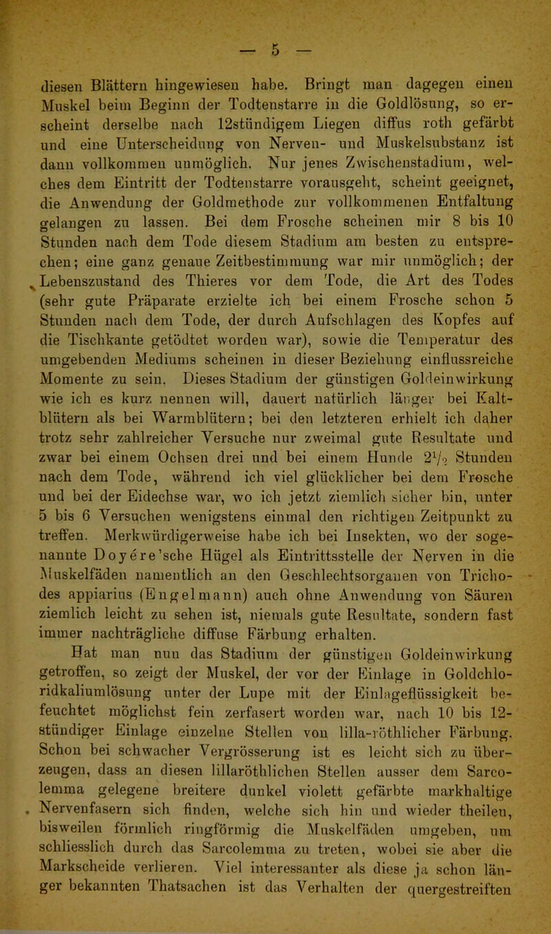diesen Blättern hingewiesen habe. Bringt man dagegen einen Muskel beim Beginn der Todtenstarre in die Goldlösnng, so er- scheint derselbe nach 12stündigem Liegen diffus roth gefärbt und eine Unterscheidung von Nerven- und Muskelsubstanz ist dann vollkommen unmöglich. Nur jenes Zwischenstadium, wel- ches dem Eintritt der Todtenstarre vorausgeht, scheint geeignet, die Anwendung der Goldmethode zur vollkommenen Entfaltung gelangen zu lassen. Bei dem Frosche scheinen mir 8 bis 10 Stunden nach dem Tode diesem Stadium am besten zu entspre- chen; eine ganz genaue Zeitbestimmung war mir unmöglich; der ^ Lebenszustand des Thieres vor dem Tode, die Art des Todes (sehr gute Präparate erzielte ich bei einem Frosche schon 5 Stunden nach dem Tode, der durch Aufschlagen des Kopfes auf die Tischkante getödtet worden war), sowie die Temperatur des umgebenden Mediums scheinen in dieser Beziehung einflussreiche Momente zu sein. Dieses Stadium der günstigen Goldeinwirkung wie ich es kurz neunen will, dauert natürlich länger bei Kalt- blütern als bei Warmblütern; bei den letzteren erhielt ich daher trotz sehr zahlreicher Versuche nur zweimal gute Resultate und zwar bei einem Ochsen drei und bei einem Hunde 2Vs Stunden nach dem Tode, während ich viel glücklicher bei dem Frosche und bei der Eidechse war, wo ich jetzt ziemlich sicher bin, unter 5 bis 6 Versuchen wenigstens einmal den richtigen Zeitpunkt zu treffen. Merkwürdigerweise habe ich bei Insekten, wo der soge- nannte Doyere’sche Hügel als Eintrittsstelle der Nerven in die Muskelfäden namentlich an den Geschlechtsorganen von Tricho- • des appiarius (Engelmann) auch ohne Anwendung von Säuren ziemlich leicht zu sehen ist, niemals gute Resultate, sondern fast immer nachträgliche diffuse Färbung erhalten. Hat man nun das Stadium der günstigen Goldeinwirkung getroffen, so zeigt der Muskel, der vor der Einlage in Goldchlo- ridkaliumlösung unter der Lupe mit der Einlageflüssigkeit be- feuchtet möglichst fein zerfasert worden war, nach 10 bis 12- stündiger Einlage einzelne Stellen von lilla-röthlicher Färbung. Schon bei schwacher Vergrösserung ist es leicht sich zu über- zeugen, dass an diesen lillaröthlichen Stellen ausser dem Sarco- lemma gelegene breitere dunkel violett gefärbte markhaltige . Nervenfasern sich finden, welche sich hin und wieder theileu, bisweilen förmlich ringförmig die Muskelfäden umgeben, um schliesslich durch das Sarcolemma zu treten, wobei sie aber die Markscheide verlieren. Viel interessanter als diese ja schon län- ger bekannten I hatsachen ist das Verhalten der quergestreiften