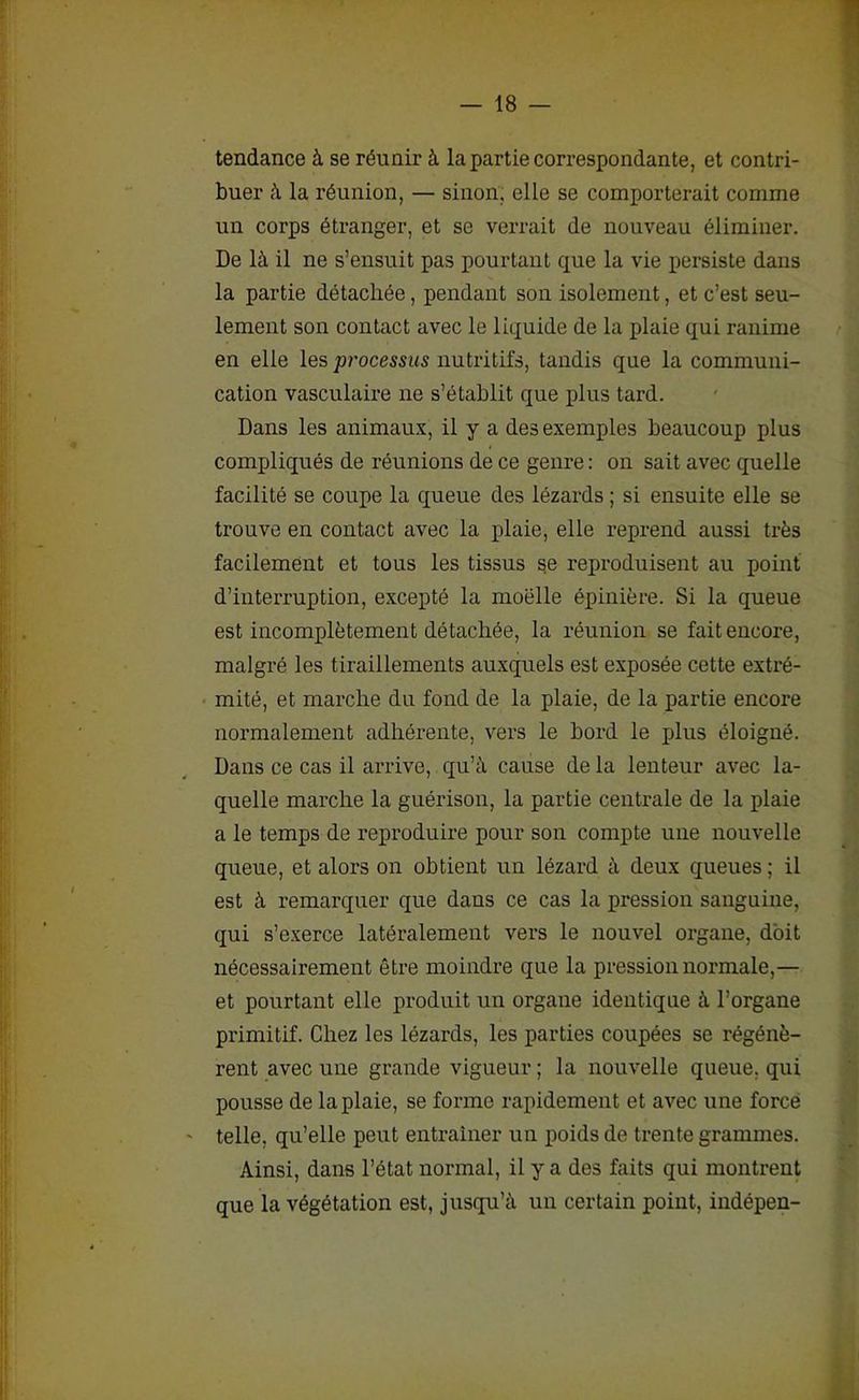 tendance à se réunir à la partie correspondante, et contri- buer à la réunion, — sinon, elle se comporterait comme un corps étranger, et se verrait de nouveau éliminer. De là il ne s’ensuit pas pourtant que la vie persiste dans la partie détachée, pendant son isolement, et c’est seu- lement son contact avec le liquide de la plaie qui ranime en elle les processus nutritifs, tandis que la communi- cation vasculaire ne s’établit que plus tard. Dans les animaux, il y a des exemples beaucoup plus compliqués de réunions de ce genre : on sait avec quelle facilité se coupe la queue des lézards ; si ensuite elle se trouve en contact avec la plaie, elle reprend aussi très facilement et tous les tissus se reproduisent au point d’interruption, excepté la moelle épinière. Si la queue est incomplètement détachée, la réunion se fait encore, malgré les tiraillements auxquels est exposée cette extré- mité, et marche du fond de la plaie, de la partie encore normalement adhérente, vers le bord le plus éloigné. Dans ce cas il arrive, qu’à cause de la lenteur avec la- quelle marche la guérison, la partie centrale de la plaie a le temps de reproduire pour son compte une nouvelle queue, et alors on obtient un lézard à deux queues ; il est à remarquer que dans ce cas la pression sanguine, qui s’exerce latéralement vers le nouvel organe, doit nécessairement être moindre que la pression normale,— et pourtant elle produit un organe identique à l’organe primitif. Chez les lézards, les parties coupées se régénè- rent avec une grande vigueur ; la nouvelle queue, qui pousse de la plaie, se forme rapidement et avec une force telle, qu’elle peut entraîner un poids de trente grammes. Ainsi, dans l’état normal, il y a des faits qui montrent que la végétation est, jusqu’à un certain point, indépen-
