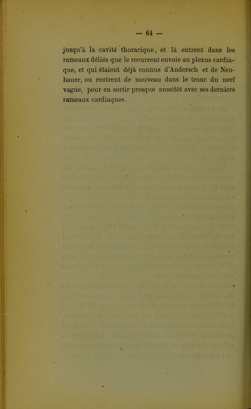 jusqu’à la cavité thoracique, et là entrent dans les rameaux déliés que le récurrent envoie au plexus cardia- que, et qui étaient déjà connus d’Andersch et de Neu- bauer, ou rentrent de nouveau dans le tronc du nerf vague, pour en sortir presque aussitôt avec ses derniers rameaux cardiaques.