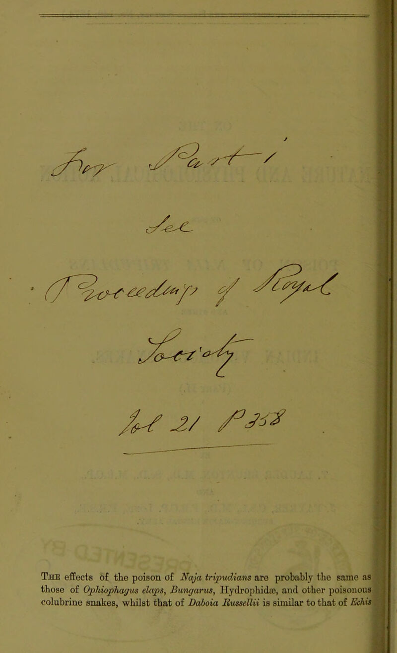 The effects of the poison of Naja tripudicins are probably the same as those of Ophiophagus elaps, Bungarus, Hydrophiche, and other poisonous colubrine snakes, whilst that of Daboia liussellii is similar to that of Echis