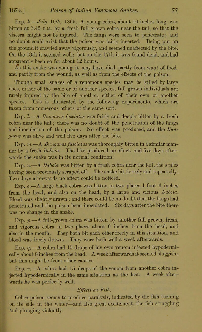 Exp. k.—July 10th, 1869. A young cobra, about 10 inches long, was bitten at 3.45 p.m. by a fresh full-grown cobra near the tail, so that the viscera might not be injured. The fangs were seen to penetrate; and no doubt could exist that the poison was fairly inserted. Being put on the ground it crawled away vigorously, and seemed unaffected by the bite. On the 13th it seemed well; but on the 17th it was found dead, and had apparently been so for about 12 hours. As this snake was young it may have died partly from want of food, and partly from the wound, as well as from the effects of the poison. Though small snakes of a venomous species may be killed by large ones, either of the same or of another species, full-grown individuals are rarely injured by the bite of another, either of their own or another species. This is illustrated by the following experiments, which are taken from numerous others of the same sort. Exp. 1.—A Bungarus fasciatus was fairly and deeply bitten by a fresh cobra near the tail;' there was no doubt of the penetration of the fangs and inoculation of the poison. No effect was produced, and the Bun- gams was alive and well five days after the bite. Exp. m.—A Bungarus fasciatus was thoroughly bitten in a similar man- ner by a fresh Dahoia. The bite produced no effect, and five days after- wards the snake was in its normal condition. Exp. n.—A Daboia was bitten by a fresh cobra near the tail, the scales having been previously scraped off. The snake bit fiercely and repeatedly. Two days afterwards no effect could be noticed. Exp. o.—A large black cobra was bitten in two places 1 foot 6 inches from the head, and also on the head, by a large and vicious Daboia. Blood was slightly drawn; and there could be no doubt that the fangs had penetrated and the poison been inoculated. Six days after the bite there was no change in the snake. Exp. p.—A full-grown cobra was bitten by another full-grown, fresh, and vigorous cobra in two places about 6 inches from the head, and also in the mouth. They both bit each other freely in this situation, and blood was freely drawn. They were both well a week afterwards. Exp. q.—A cobra had 15 drops of his own venom injected hypodermi- cally about 8 inches from the head. A week afterwards it seemed sluggish; but this might be from other causes. Exp. r.—A cobra had 15 drops of the venom from another cobra in- jected hypodermically in the same situation as the last. A week after- wards he was perfectly well. Effects on Fish. Cobra-poison seems to produce paralysis, indicated by the fish turning on its side in the water—and also great excitement, the fish struggling and plunging violently.