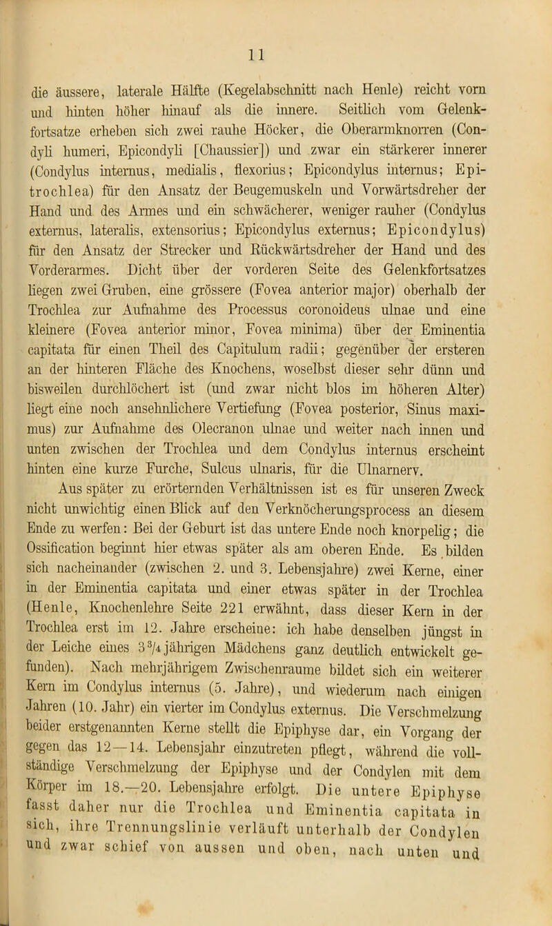 die äussere, laterale Hälfte (Kegelabschnitt nach Heule) reicht vorn und hinten höher hinauf als die innere. Seitlich vom Gelenk- fortsatze erheben sich zwei rauhe Höcker, die Oberarmknorren (Con- dyli liumeri, Epicondyli [Chaussier]) und zwar ein stärkerer innerer (Condylus internus, medialis, flexorius; Epicondylus internus; Epi- trochlea) für den Ansatz der Beugemuskeln und Vorwärtsdreher der Hand und des Armes und ein schwächerer, weniger rauher (Condylus extemus, lateralis, extensorius; Epicondylus externus; Epicondylus) für den Ansatz der Strecker und Klickwärtsdreher der Hand und des Vorderarmes. Dicht über der vorderen Seite des Gelenkfortsatzes liegen zwei Gruben, eine grössere (Fovea anterior major) oberhalb der Trochlea zur Aufnahme des Processus coronoideus ulnae und eine kleinere (Fovea anterior minor, Fovea minima) über der Eminentia capitata für einen Theil des Capitulum radii; gegenüber der ersteren an der hinteren Fläche des Knochens, woselbst dieser sein- dünn und bisweilen durchlöchert ist (und zwar nicht blos im höheren Alter) liegt eine noch ansehnlichere Vertiefung (Fovea posterior, Sinus maxi- mus) zur Aufnahme des Olecranon ulnae und weiter nach innen und unten zwischen der Trochlea und dem Condylus internus erscheint hinten eine kurze Furche, Sulcus ulnaris, für die Ulnarnerv. Aus später zu erörternden Verhältnissen ist es für unseren Zweck nicht unwichtig einen Blick auf den Verknöcherungsprocess an diesem Ende zu werfen: Bei der Geburt ist das untere Ende noch knorpelig; die Ossification beginnt liier etwas später als am oberen Ende. Es bilden sich nacheinander (zwischen 2. und 3. Lebensjahre) zwei Kerne, einer in der Eminentia capitata und einer etwas später in der Trochlea (Heule, Knochenlehre Seite 221 erwähnt, dass dieser Kern in der Trochlea erst im 12. Jahre erscheine: ich habe denselben jüngst in der Leiche eines 3 3/r jährigen Mädchens ganz deutlich entwickelt ge- funden). Nach mehrjährigem Zwischenräume bildet sich ein weiterer Kern im Condylus internus (5. Jahre), und wiederum nach einigen Jahren (10. Jahr) ein vierter im Condylus externus. Die Verschmelzung beider erstgenannten Kerne stellt die Epiphyse dar, ein Vorgang der gegen das 12 — 14. Lebensjahr einzutreten pflegt, während die voll- ständige Verschmelzung der Epiphyse und der Condylen mit dem Körper im 18.—20. Lebensjahre erfolgt. Die untere Epiphyse fasst daher nur die Trochlea und Eminentia capitata in sich, ihre Trennungslinie verläuft unterhalb der Condylen und zwar schief von aussen und oben, nach unten und