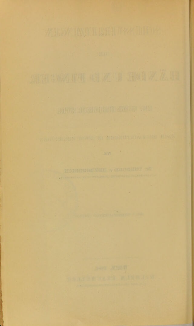 digitised image 2
