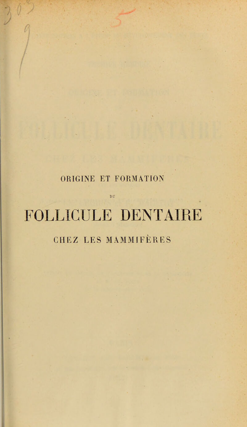 ORIGINE ET FORMATION DU FOLLICULE DENTAIRE CHEZ LES MAMMIFÈRES