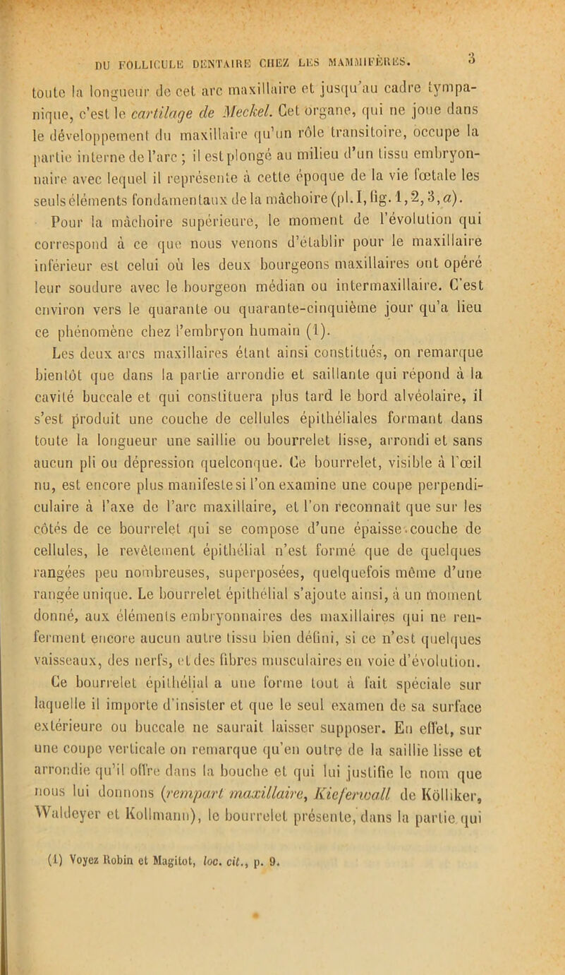 v v: j. * i toute la longueur de cet arc maxillaire et jusqu au cadre «.ympa- nique, c’est le cartilage cle Mecfcel. Cet organe, qui ne joue dans le développement du maxillaire qu’un rôle transitoire, occupe la partie interne de l’arc ; il est plongé au milieu d’un tissu embryon- naire avec lequel il représente à cette époque de la vie lœtale les seuls éléments fondamentaux de la mâchoire (pl. I, lîg. 1,2,3, a). Pour la mâchoire supérieure, le moment de 1 évolution qui correspond à ce que nous venons d’établir pour le maxillaire inférieur est celui où les deux bourgeons maxillaires ont opéré leur soudure avec le bourgeon médian ou intermaxillaire. C est environ vers le quarante ou quarante-cinquième jour qu’a lieu ce phénomène chez l’embryon humain (1). Les deux arcs maxillaires étant ainsi constitués, on remarque bientôt que dans la partie arrondie et saillante qui répond à la cavité buccale et qui constituera plus tard le bord alvéolaire, il s’est produit une couche de cellules épithéliales formant dans toute la longueur une saillie ou bourrelet lisse, arrondi et sans aucun pli ou dépression quelconque. Ce bourrelet, visible à l’œil nu, est encore plus manifeste si l’on examine une coupe perpendi- culaire à l’axe de l’arc maxillaire, et l’on reconnaît que sur les côtés de ce bourrelet qui se compose d’une épaisse-couche de cellules, le revêtement épithélial n’est formé que de quelques rangées peu nombreuses, superposées, quelquefois même d’une rangée unique. Le bourrelet épithélial s’ajoute ainsi, à un moment donné, aux éléments embryonnaires des maxillaires qui ne ren- ferment encore aucun autre tissu bien déüni, si ce n’est quelques vaisseaux, des nerfs, et des fibres musculaires en voie d’évolution. Ce bourrelet épithélial a une forme tout à fait spéciale sur laquelle il importe d’insister et que le seul examen de sa surface extérieure ou buccale ne saurait laisser supposer. Eu effet, sur une coupe verticale on remarque qu’en outre de la saillie lisse et arrondie qu’il offre dans la bouche et qui lui justifie le nom que nous lui donnons {rempart maxillaire, Kicfenoa.il de Kôlliker, Waldeyer et Kullmann), le bourrelet présente, dans la partie qui (1) Voyez Robin et Magitot, loc. cit., p. 9.