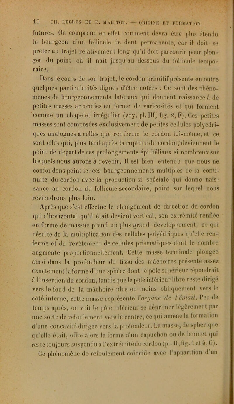 futures. On comprend en effet comment devra être plus étendu le bourgeon d’un follicule de dent permanente, car il doit se prêter au trajet relativement long qu’il doit parcourir pour plon- ger du point où il naît jusqu’au dessous du follicule tempo- raire. Dans le cours de son trajet, le cordon primitif présente en outre quelques particularités dignes d’ètre notées : Ce sont des phéno- mènes de bourgeonnements latéraux qui donnent naissance à de petites masses arrondies en forme de varicosités et qui forment comme un chapelet irrégulier (voy. pl.IIf, fig. 2, P). Ces petites masses sont composées exclusivement de petites cellules polyédri- ques analogues à celles que renferme le cordon lui-même, et ce sont elles qui, plus tard après la rupture du cordon, deviennent le point de départ de ces prolongements épithéliaux si nombreux sur lesquels nous aurons à revenir. 11 est bien entendu que nous ne confondons point ici ces bourgeonnements multiples de la conti- nuité du cordon avec la production si spéciale qui donne nais- sance au cordon du follicule secondaire, point sur lequel nous reviendrons plus loin. Après que s’est effectué le changement de direction du cordon qui d’horizontal qu’il était devient vertical, son extrémité renflée en forme de massue prend un plus grand développement, ce qui résulte de la multiplication des cellules polyédriques qu’elle ren- ferme et du revêtement de cellules prismatiques dont le nombre augmente proportionnellement. Cette masse terminale plongée ainsi dans la profondeur du tissu des mâchoires présente assez exactement la forme d’une sphère dont le pôle supérieur répondrait à l’insertion du cordon, tandis que le pôle inférieur libre reste dirigé vers le fond de la mâchoire plus ou moins obliquement vers le côté interne, cette masse représente l'organe de l'émail, l'eu de temps après, on voit le pôle inférieur se déprimer légèrement par une sorte de refoulement vers le centre, ce qui amène la formation d’une concavité dirigée vers la profondeur. La masse, de sphérique qu’elle était, offre alors la forme d’un capuchon ou île bonnet qui reste toujours suspendu à l’extrémiléducordon (pl. II,fig-1 cl 5, Ci). Ce phénomène de refoulement coïncide avec l’apparition d un