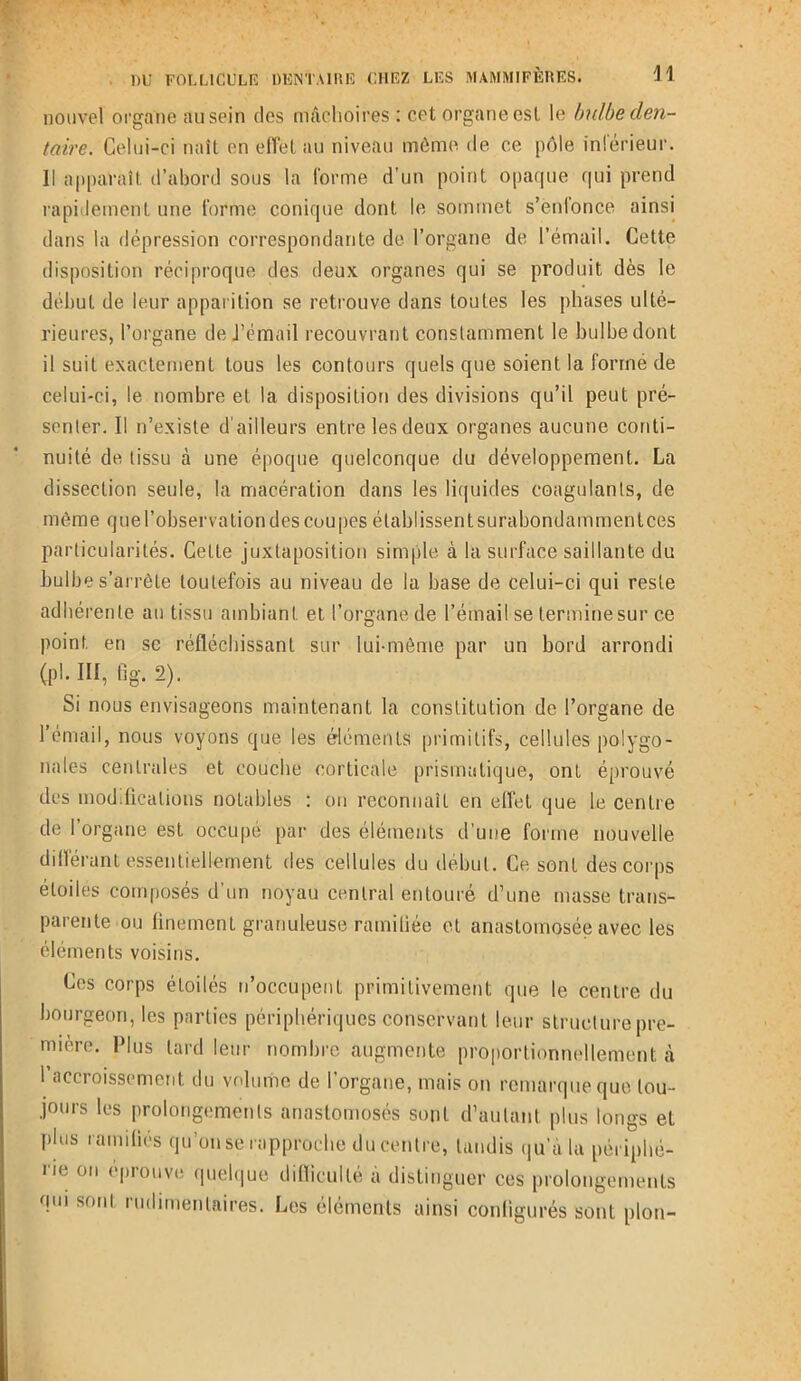 nouvel organe au sein des mâchoires : cet organe est le bulbe den- taire. Celui-ci naît en effet au niveau môme de ce pôle inférieur. Il apparaît d’abord sous la forme d'un point opaque qui prend rapidement une forme conique dont le sommet s’enlonce ainsi dans la dépression correspondante de l’organe de l’émail. Cette disposition réciproque des deux organes qui se produit dès le début de leur apparition se retrouve dans toutes les phases ulté- rieures, l’organe de J’émail recouvrant constamment le bulbe dont il suit exactement tous les contours quels que soient la forme de celui-ci, le nombre et la disposition des divisions qu’il peut pré- senter. Il n’existe d’ailleurs entre les deux organes aucune conti- nuité de tissu à une époque quelconque du développement. La dissection seule, la macération dans les liquides coagulants, de môme que l’observation des coupes établissent surabondamment ces particularités. Cette juxtaposition simple à la surface saillante du bulbe s’arrête toutefois au niveau de la base de celui-ci qui reste adhérente au tissu ambiant et l’organe de l’émail se termine sur ce point, en se réfléchissant sur lui-même par un bord arrondi Cpl. III, tlg. 2). Si nous envisageons maintenant la constitution de l’organe de 1 émail, nous voyons que les éléments primitifs, cellules polygo- nales centrales et couche corticale prismatique, ont éprouvé des modifications notables : on reconnaît en effet que le centre de I organe est occupé par des éléments d’une forme nouvelle différant essentiellement des cellules du début. Ce sont des corps étoiles composés d’un noyau central entouré d’une masse trans- parente ou finement granuleuse ramiliée et anastomosée avec les éléments voisins. Ces corps étoilés n’occupent primitivement que le centre du bourgeon, les parties périphériques conservant leur structure pre- mière. Plus tard leur nombre augmente proportionnellement à 1 accroissement du volume de l’organe, mais on remarque que tou- jours les prolongements anastomosés sont d’autant plus longs et plus ramifiés qu’on se rapproche du centre, tandis qu’à la périphé- i ii ou t piouve quelque difficulté a distinguer ces prolongements qui sont rudimentaires. Les éléments ainsi configurés sont pion-