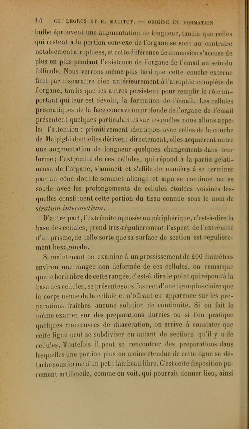 bulbe éprouvenL une augmenlation de longueur, tandis que celles qui restent à la portion convexe de l’organe se sont au contraire notablement atrophiées, et celle différence de dimension s’accuse de plus en plus pendant l’existence de l’organe de l’émail au sein du follicule. Nous verrons môme plus tard que celte couche externe finit par disparaître bien antérieurement à l'atrophie complète de l’organe, tandis que les autres persistent pour remplir le rôle im- portant qui leur est dévolu, la formation de l’émail. Les cellules prismatiques de la face concave ou profonde de l’organe de l’émail présentent quelques particularités sur lesquelles nous allons appe- ler l’attention : primitivement identiques avec celles de la couche de Malpighi dont elles dérivent directement, elles acquièrent outre une augmentation de longueur quelques changements dans leur forme; l’extrémité de ces cellules, qui répond à la partie gélati- neuse de l’organe, s’amincit et s’effile de manière à se terminer par un cône dont le sommet allongé et aigu se continue ou se soude avec les prolongements de cellules étoilées voisines les- quelles constituent celte portion du tissu connue sous le nom de stratum intermedium. D’autre part, l’extrémité opposée ou périphérique, c’est-à-dire la hase des cellules, prend très-régulièrement l’aspect de l’extrémité d’un prisme, de telle sorte que sa surface de section est régulière- ment hexagonale. Si maintenant on examine à un grossissement de 400 diamètres environ une rangée non déformée de ces cellules, on remarque que le bord libre de cette rangée, c’est-à-dire le point qui répond à la hase des cellules, se présentesous l’aspect d’une ligne plus claire que le corps même de la cellule et n’offrant en apparence sur les pré- parations fraîches aucune solution de continuité. Si ou fait le même examen sur des préparations durcies ou si l'on pratique quelques manœuvres de dilacération, on arrive à constater que cette ligne peut se subdiviser en autant de sections qu’il y a de cellules. Toutefois il peut se rencontrer des préparations dans lesquelles une portion plus ou moins étendue de cette ligne se dé- tache sous forme d’un petit lambeau libre. C’est celte disposition pu- rement artificielle, comme on voit, qui pourrait donner lieu, ainsi