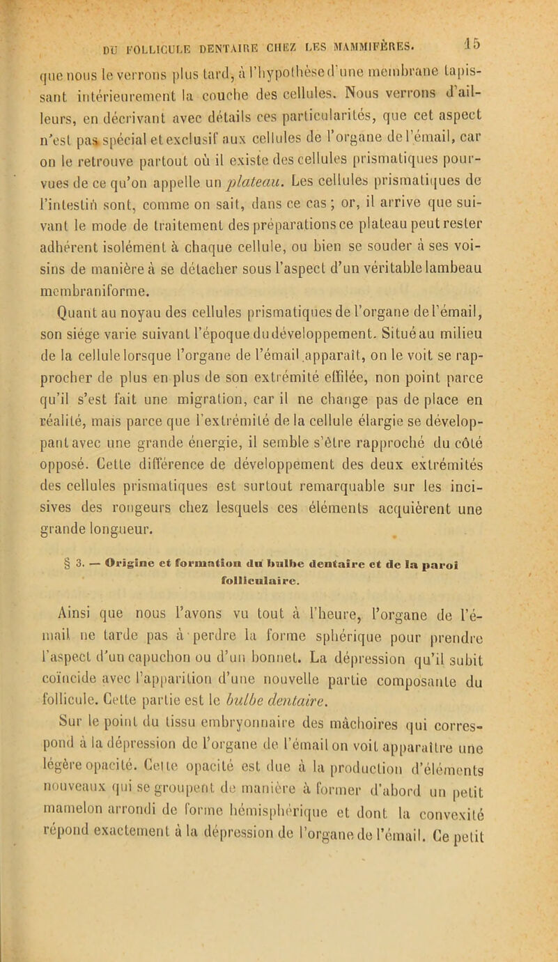 quêtions le verrons plus tard, à l’hypothèse d une membrane tapis- sant intérieurement la couche des cellules. Nous verrons d ail- leurs, en décrivant avec détails ces particularités, que cet aspect n’est pas. spécial et exclusif aux cellules de 1 organe de l’émail, car on le retrouve partout où il existe des cellules prismatiques pour- vues de ce qu’on appelle un plateau. Les cellules prismatiques de l’intestin sont, comme on sait, dans ce cas; or, il arrive que sui- vant le mode de traitement des préparations ce plateau peut rester adhérent isolément à chaque cellule, ou bien se souder à ses voi- sins de manière à se détacher sous l’aspect d’un véritable lambeau membraniforme. Quant au noyau des cellules prismatiques de l’organe de l’émail, son siège varie suivant l’époquedudéveloppement. Situéau milieu de la cellule lorsque l’organe de l’émail .apparaît, on le voit se rap- procher de plus en plus de son extrémité effilée, non point parce qu’il s’est fait une migration, car il ne change pas de place en réalité, mais parce que l’extrémité de la cellule élargie se dévelop- pant avec une grande énergie, il semble s’être rapproché du côté opposé. Cette différence de développement des deux extrémités des cellules prismatiques est surtout remarquable sur les inci- sives des rongeurs chez lesquels ces éléments acquièrent une grande longueur. § 3. — Origine et formation <lu Itnllte dentaire et de la paroi folliculaire. Ainsi que nous l’avons vu tout à l’heure, l’organe de l’é- mail ne tarde pas à perdre la forme sphérique pour prendre l’aspect d’un capuchon ou d’un bonnet. La dépression qu’il subit coïncide avec l’apparition d’une nouvelle partie composante du follicule. Cette partie est le bulbe dentaire. Sur le point du tissu embryonnaire des mâchoires qui corres- pond à la dépression de l’organe de l’émail on voit apparaître une légère opacité. Celle opacité est due à la production d’éléments nouveaux qui se groupent de manière à former d’abord un petit mamelon arrondi de forme hémisphérique et dont la convexité répond exactement à la dépression de l’organe de l’émail. Ce petit