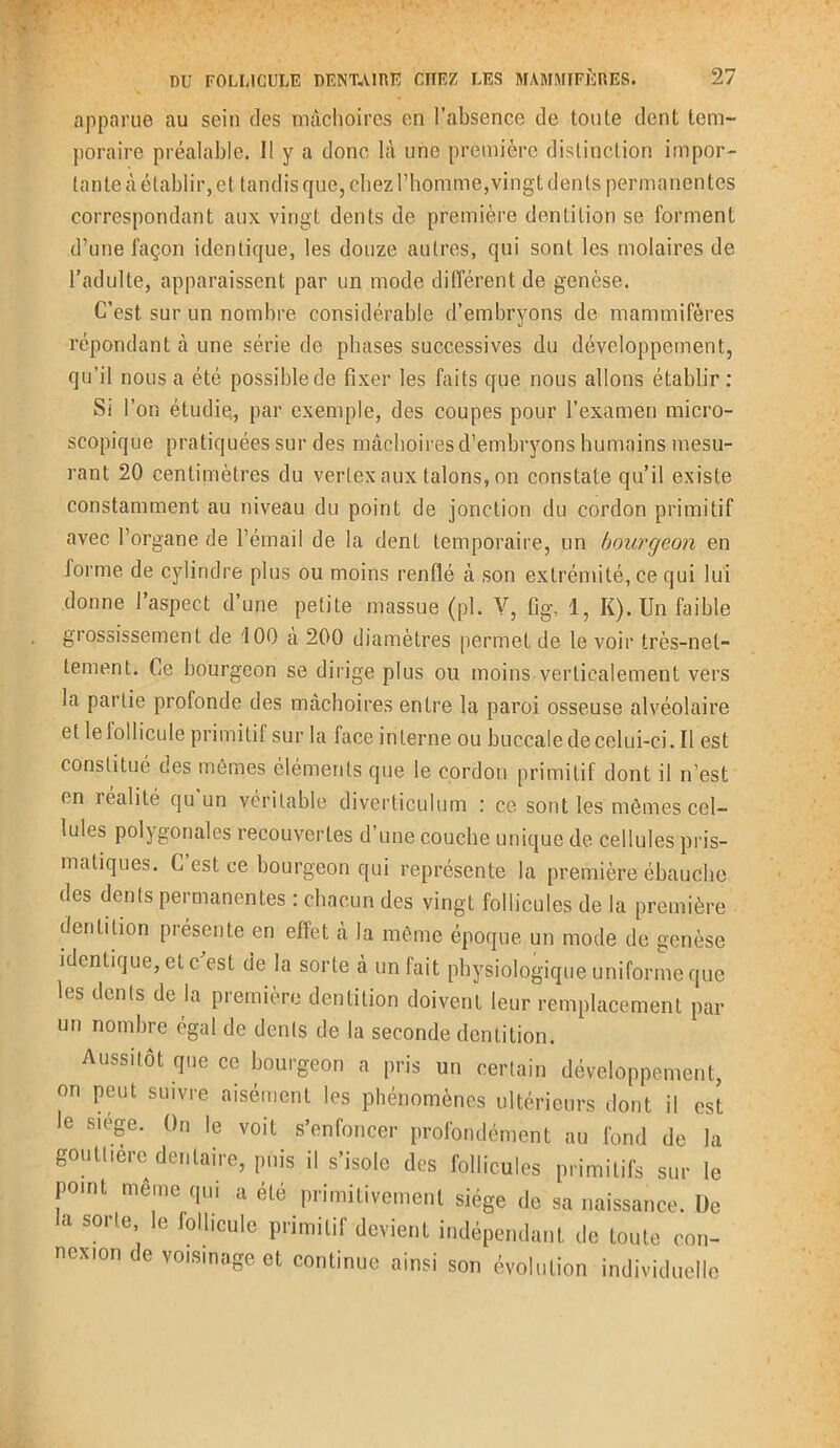apparue au sein des mâchoires en l’absence de toute dent tem- poraire préalable. Il y a donc là une première distinction impor- tante à établir, et tandis que, chez l’homme,vingt dents permanentes correspondant aux vingt dents de première dentition se forment d’une façon identique, les douze autres, qui sont les molaires de l’adulte, apparaissent par un mode différent de genèse. C’est sur un nombre considérable d’embryons de mammifères répondant à une série de phases successives du développement, qu’il nous a été possible de fixer les faits que nous allons établir : Si l’on étudie., par exemple, des coupes pour l’examen micro- scopique pratiquées sur des mâchoires d’embryons humains mesu- rant 20 centimètres du vertex aux talons, on constate qu’il existe constamment au niveau du point de jonction du cordon primitif avec l’organe de l’émail de la dent temporaire, un bourgeon en forme de cylindre plus ou moins renflé à son extrémité, ce qui lui donne l’aspect d’une petite massue (pl. V, fig, 1, I(). Un faible grossissement de 100 à 200 diamètres permet de le voir très-net- tement. Ce bourgeon se dirige plus ou moins verticalement vers la partie profonde des mâchoires entre la paroi osseuse alvéolaire et le follicule primitif sur la face interne ou buccale de celui-ci. Il est constitué des mêmes éléments que le cordon primitif dont il n’est en léalité qu un véritable diverticulum : ce sont les mêmes cel- lules polygonales recouvertes d’une couche unique de cellules pris- matiques. C est ce bourgeon qui représente la première ébauche des dents permanentes : chacun des vingt follicules de la première dentition présente en effet à la même époque un mode de genèse identique, etc est de la sorte à un fait physiologique uniforme que les dents de la première dentition doivent leur remplacement par un nombre égal de dents de la seconde dentition. Aussitôt que ce bourgeon a pris un certain développement, on peut suivre aisément les phénomènes ultérieurs dont il est le siégé. On le voit s’enfoncer profondément au fond de la gouttière dentaire, puis il s’isole des follicules primitifs sur le point même qui a été primitivement siège de sa naissance. De a sorte le lolhcule primitif devient indépendant de toute con- nexion de voisinage et continue ainsi son évolution individuelle