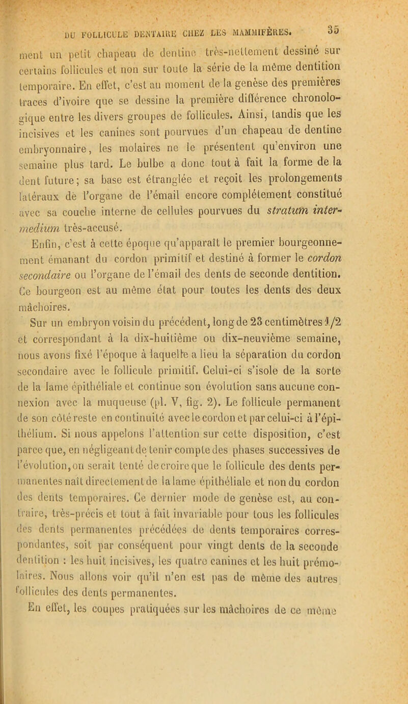 ment un petit chapeau de denlino très-nettement dessiné sur certains follicules et non sur toute la série de la môme dentition temporaire. En effet, c’est au moment de la genèse des premières traces d’ivoire que se dessine la première différence chionolo- gique entre les divers groupes de follicules. Ainsi, tandis que les incisives et les canines sont pourvues d’un chapeau de dentine embryonnaire, les molaires ne le présentent qu’environ une semaine plus tard. Le bulbe a donc tout a fait la forme de la dent future; sa base est étranglée et reçoit les prolongements latéraux dè l’organe de l’émail encore complètement constitué avec sa couche interne de cellules pourvues du stratum inter- medium très-accusé. Enfin, c’est à cette époque qu’apparaît le premier bourgeonne- ment émanant du cordon primitif et destiné à former le cordon secondaire ou l’organe de l’émail des dents de seconde dentition. Ce bourgeon est au même état pour toutes les dents des deux mâchoires. Sur un embryon voisin du précédent, long de 23 centimètres 4/2 et correspondant à la dix-huitième ou dix-neuvième semaine, nous avons fixé l’époque à laquelle a lieu la séparation du cordon secondaire avec le follicule primitif. Celui-ci s’isole de la sorte de la lame épithéliale et continue son évolution sans aucune con- nexion avec la muqueuse (pl. V, fig. 2). Le follicule permanent de son côté reste en continuité avec le cordon et par celui-ci àl’épi- Ihélium. Si nous appelons l’attention sur cette disposition, c’est parce que, en négligeant de tenir compte des phases successives de l’évolution, on serait tenté de croire que le follicule des dents per- manentes naît directement de la lame épithéliale et non du cordon des dents temporaires. Ce dernier mode de genèse est, au con- traire, très-précis et tout à fait invariable pour tous les follicules des dents permanentes précédées de dents temporaires corres- pondantes, soit par conséquent pour vingt dents de la seconde dentition : les huit incisives, les quatre canines et les huit prémo- laires. Nous allons voir qu’il n’en est pas de môme des autres follicules des dents permanentes. En effet, les coupes pratiquées sur les mâchoires de ce môme