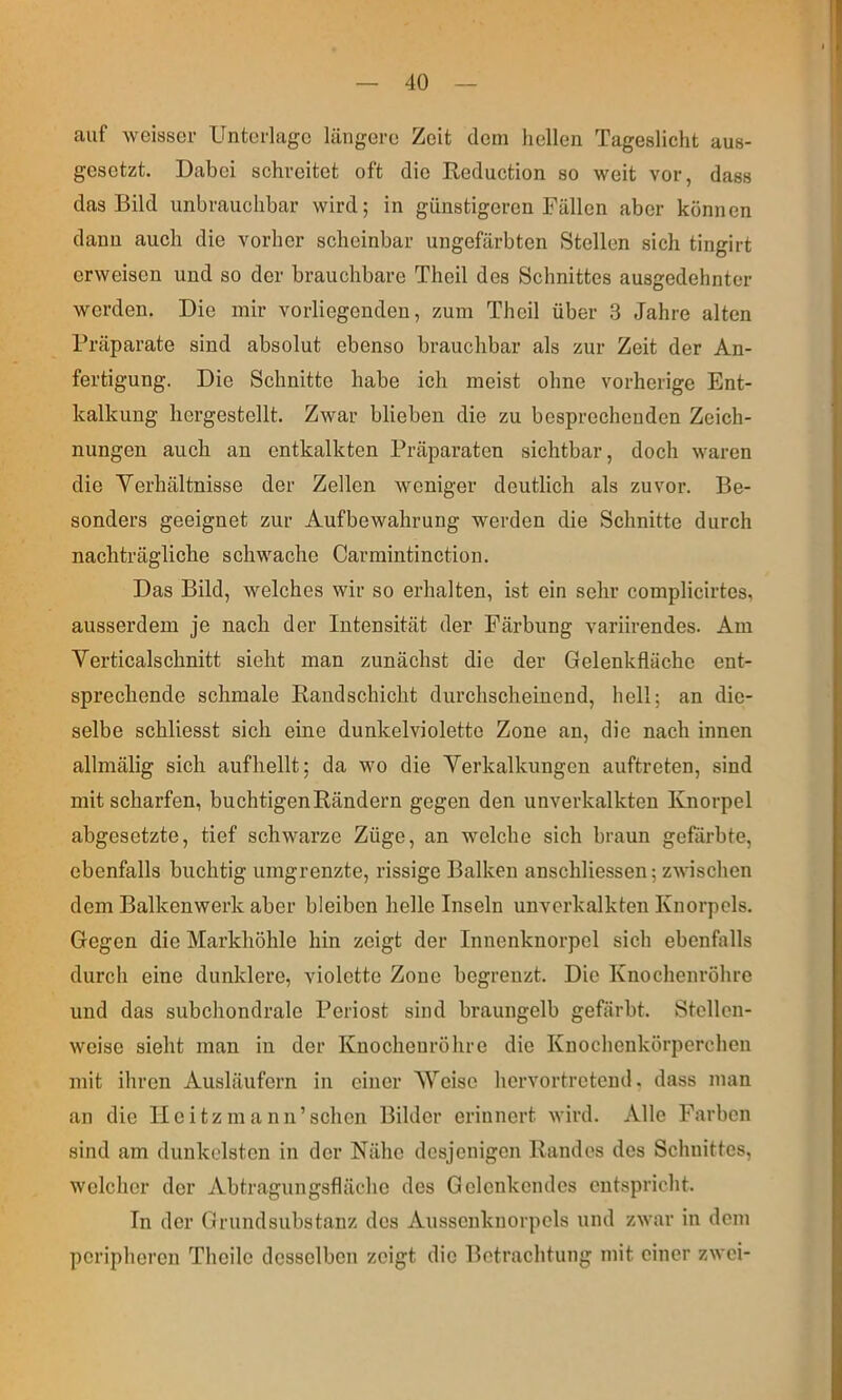 auf weiaser Unterlage längere Zeit dem hellen Tageslicht aus- gesetzt. Dabei schreitet oft die Reduction so weit vor, dass das Bild unbrauchbar wird; in günstigeren Fällen aber können dann auch die vorher scheinbar ungefärbten Stellen sich tingirt erweisen und so der brauchbare Theil des Schnittes ausgedehnter werden. Die mir vorliegenden, zum Theil über 3 Jahre alten Präparate sind absolut ebenso brauchbar als zur Zeit der An- fertigung. Die Schnitte habe ich meist ohne vorherige Ent- kalkung hergestellt. Zwar blieben die zu besprechenden Zeich- nungen auch an entkalkten Präparaten sichtbar, doch waren die Yerhältnisse der Zellen weniger deutlich als zuvor. Be- sonders geeignet zur Aufbewahrung werden die Schnitte durch nachträgliche schwache Carmintinction. Das Bild, welches wir so erhalten, ist ein sehr complicirtes, ausserdem je nach der Intensität der Färbung variirendes. Am Verticalschnitt sieht man zunächst die der Gelenkflächc ent- sprechende schmale Randschicht durchscheinend, hell; an die- selbe schliesst sich eine dunkelviolette Zone an, die nach innen allmälig sich aufhellt; da wo die Yerkalkungen auftreten, sind mit scharfen, buchtigenRändern gegen den unverkalkten Knorpel abgesetzte, tief schwarze Züge, an wmlche sich braun gefärbte, ebenfalls buchtig umgrenzte, rissige Balken anschliessen; zwischen dem Balkenwerk aber bleiben helle Inseln unverkalkten Knorpels. Gegen die Markhöhle hin zeigt der Innenknorpcl sich ebenfalls durch eine dunklere, violette Zone begrenzt. Die Knochenröhre und das subchondrale Periost sind braungelb gefärbt. Stellen- weise sieht man in der Knocheuröhre die Knochenkörperchen mit ihren Ausläufern in einer Weise hervortretend, dass man an die Ileitzmann’schen Bilder erinnert wird. Alle Farben sind am dunkelsten in der Nähe desjenigen Randes des Schnittes, welcher der Abtragungsflächo des Gdenkendes entspricht. In der Grundsubstanz des Aussenknorpels und zwar in dem peripheren Thcile desselben zeigt die Betrachtung mit einer zwei-