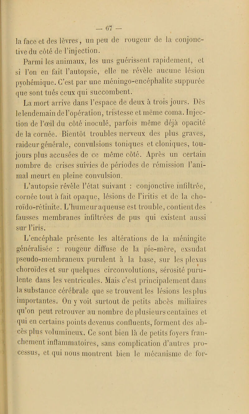 la face et des lèvres, un peu de rougeur de la conjonc- tive du côté de l’injection. Parmi les animaux, les uns guérissent rapidement, et si l’on en fait l’autopsie, elle 11e révèle aucune lésion pyohémique. C’est par une méningo-encéphalite suppurée que sont tués ceux qui succombent. La mort arrive dans l’espace de deux à trois jours. Dès le lendemain de l’opération, tristesse et même coma. Injec- tion de l’œil du côté inoculé, parfois même déjà opacité de la cornée. Bientôt troubles nerveux des plus graves, I raideur générale, convulsions toniques et cloniques, tou- jours plus accusées de ce même côté. Après un certain nombre de crises suivies de périodes de rémission l’ani- mal meurt en pleine convulsion. L’autopsie révèle l’état suivant : conjonctive infiltrée, cornée tout à fait opaque, lésions de l’iritis et de la cho- roïdo-rétinite. L’humeur aqueuse est trouble, contient des fausses membranes infiltrées de pus qui existent aussi sur l’iris. L’encéphale présente les altérations de la méningite généralisée : rougeur diffuse de la pie-mère, exsudât pseudo-membraneux purulent à la base, sur les plexus choroïdes et sur quelques circonvolutions, sérosité puru- lente dans les ventricules. Mais c’est principalement dans la substance cérébrale que se trouvent les lésions lesplus importantes. On y voit surtout de petits abcès miliaires qu’on peut retrouver au nombre de plusieurs centaines et qui en certains points devenus confluents, forment des ab- cès plus volumineux. Ce sont bien là de petits foyers fran- chement inflammatoires, sans complication d’autres pro- cessus, et qui nous montrent bien le mécanisme de for-