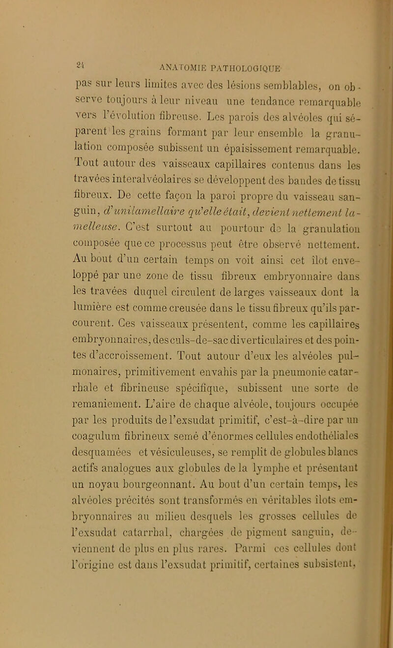 pas sur leurs limites avec des lésions semblables, on ob - serve toujours à leur niveau une tendance remarquable vers révolution fibreuse. Los parois des alvéoles qui sé- parent les grains formant par leur ensemble la g'ranu- lation composée subissent un épaisissement remarquable, lout autour des vaisseaux capillaires contenus dans les travées interalvéolaires se développent des bandes de tissu fibreux. De cette façon la paroi propre du vaisseau san- guin, cT unilamellaire qu’elle était, devient nettement la- mellease. C’est surtout au pourtour do la granulation composée que ce processus peut être observé nettement. Au bout d’un certain temps on voit ainsi cet îlot enve- loppé par une zone de tissu fibreux embryonnaire dans les travées duquel circulent de larges vaisseaux dont la lumière est comme creusée dans le tissu fibreux qu’ils par- courent. Ces vaisseaux présentent, comme les capillaires embryonnaires, des culs-de-sac diverticulaires et des poin- tes d’accroissement. Tout autour d’eux les alvéoles pul- monaires, primitivement envahis parla pneumonie catar- rhale et fibrineuse spécifique, subissent une sorte de remaniement. L’aire de chaque alvéole, toujours occupée par les produits de l’exsudât primitif, c’est-à-dire par un coagulum fibrineux semé d’énormes cellules endothéliales desquamées et vésiculeuses, se remplit de globules blancs actifs analogues aux globules de la lymphe et présentant un noyau bourgeonnant. Au bout d’un certain temps, les alvéoles précités sont transformés en véritables îlots em- bryonnaires au milieu desquels les grosses cellules de l’exsudât catarrhal, chargées de pigment sanguin, de- viennent de pins en plus rares. Parmi ces cellules dont rorigine est dans l’e.xsudat primitif, certaines subsistent,