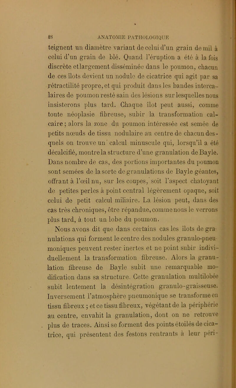 teignent un diamètre variant de celui d’un grain de mil à celui d’un grain de blé. Quand l’éruption a été à la fois discrète etlargement disséminée dans le poumon, chacun de ces îlots devient un nodule de cicatrice qui agit par sa rétractilité propre, et qui produit dans les bandes interca- laires de poumon resté sain des lésions sur lesquelles nous insisterons plus tard. Chaque îlot peut aussi, comme toute néoplasie fibreuse, subir la transformation cal- caire ; alors la zone du poumon intéressée est semée de petits noeuds de tissu nodulaire au centre de chacun des - quels on trouve un' calcul minuscule qui, lorsqu’il a été décalcifié, montre la structure d’une granulation de Bayle. Dans nombre de cas, des portions importantes du poumon sont semées de la sorte de granulations de Bayle géantes, offrant à l’œil nu, sur les coupes, soit l’aspect chatoyant de petites perles à point central légèrement opaque, soit celui de petit calcul miliaire. La lésion peut, dans des cas très chroniques, être répandue, comme nous le verrons plus tard, à tout un lobe du poumon. Nous avons dit que dans certains cas les îlots de gra- nulations qui forment le centre des nodules granulo-pneu moniques peuvent rester inertes et ne point subir indivi- duellement la transformation fibreuse. Alors la granu- lation fibreuse de Bayle subit une remarquable mo- dification dans sa structure. Cette granulation miiltilobée subit lentement la désintégration granulo-graisseuse. Inversement l’atmosphère pneumonique se transforme en tissu fibreux ; et ce tissu fibreux, végétant de la périphérie au centre, envahit la granulation, dont on ne retrouve plus de traces. Ainsi se forment des points étoilés de cica- trice, qui présentent des festons rentrants à leur péri-