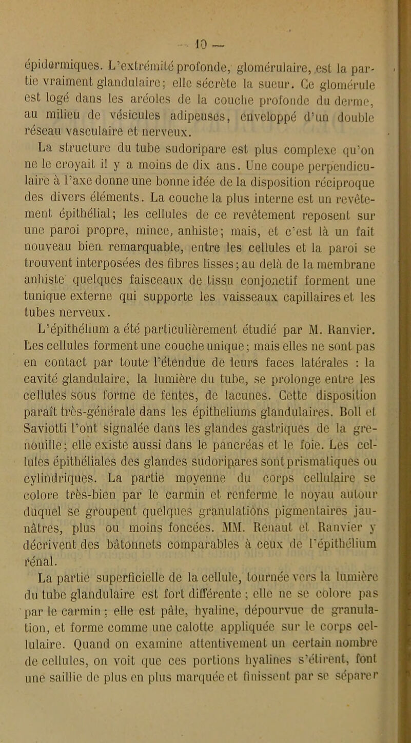 dp id or iniques. L?extrémilé profonde, glomérulaire, .est la par- tie vraiment glandulaire; elle sécrète la sueur. Ge glomérule est logé dans les aréoles de la couche profonde du derme, au milieu de vésicules adipeuses, enveloppé d’un double réseau vasculaire et nerveux. La structure du tube sudoripare est plus complexe qu’on ne le croyait il y a moins de dix ans. Une coupe perpendicu- laire a l’axe donne une bonne idée de la disposition réciproque des divers éléments. La couche la plus interne est un revête- ment épithélial; les cellules de ce revêtement reposent sur une paroi propre, mince, anhiste; mais, et c'est là un fait nouveau bien remarquable, entre les cellules et la paroi se trouvent interposées des libres lisses;au delà de la membrane anhiste quelques faisceaux de tissu conjonctif forment une tunique externe qui supporte les vaisseaux capillaires et les tubes nerveux. L’épithélium a été particulièrement étudié par M. Ranvier. Les cellules forment une couche unique; mais elles ne sont pas en contact par toute l’étendue de leurs faces latérales : la cavité glandulaire, la lumière du tube, se prolonge entre les cellules sous forme de fentes, de lacunes. Cette disposition parait très-générale dans les épithéliums glandulaires. Boll et Saviotti l’ont, signalée dans les glandes gastriques de la gre- nouille; elle existe aussi dans le pancréas et le foie. Les cel- lules épithéliales des glandes sudoripares sont prismatiques ou cylindriques. La partie moyenne du corps cellulaire se colore très-bien par le carmin et renferme le noyau autour duquel se groupent quelques granulations pigmentaires jau- nâtres, plus ou moins foncées. MM. Renaut et Ranvier y décrivent des bâtonnets comparables à ceux de l’épithélium rénal. La partie superficielle de la cellule, tournée vers la lumière du tube glandulaire est fort différente ; elle ne se colore pas par le carmin ; elle est pâle, hyaline, dépourvue de granula- tion, et forme comme une calotte appliquée sur le corps cel- lulaire. Quand on examine attentivement un certain nombre de cellules, on voit que ces portions hyalines s’étirent, font une saillie de plus en plus marquée et finissent par se séparer