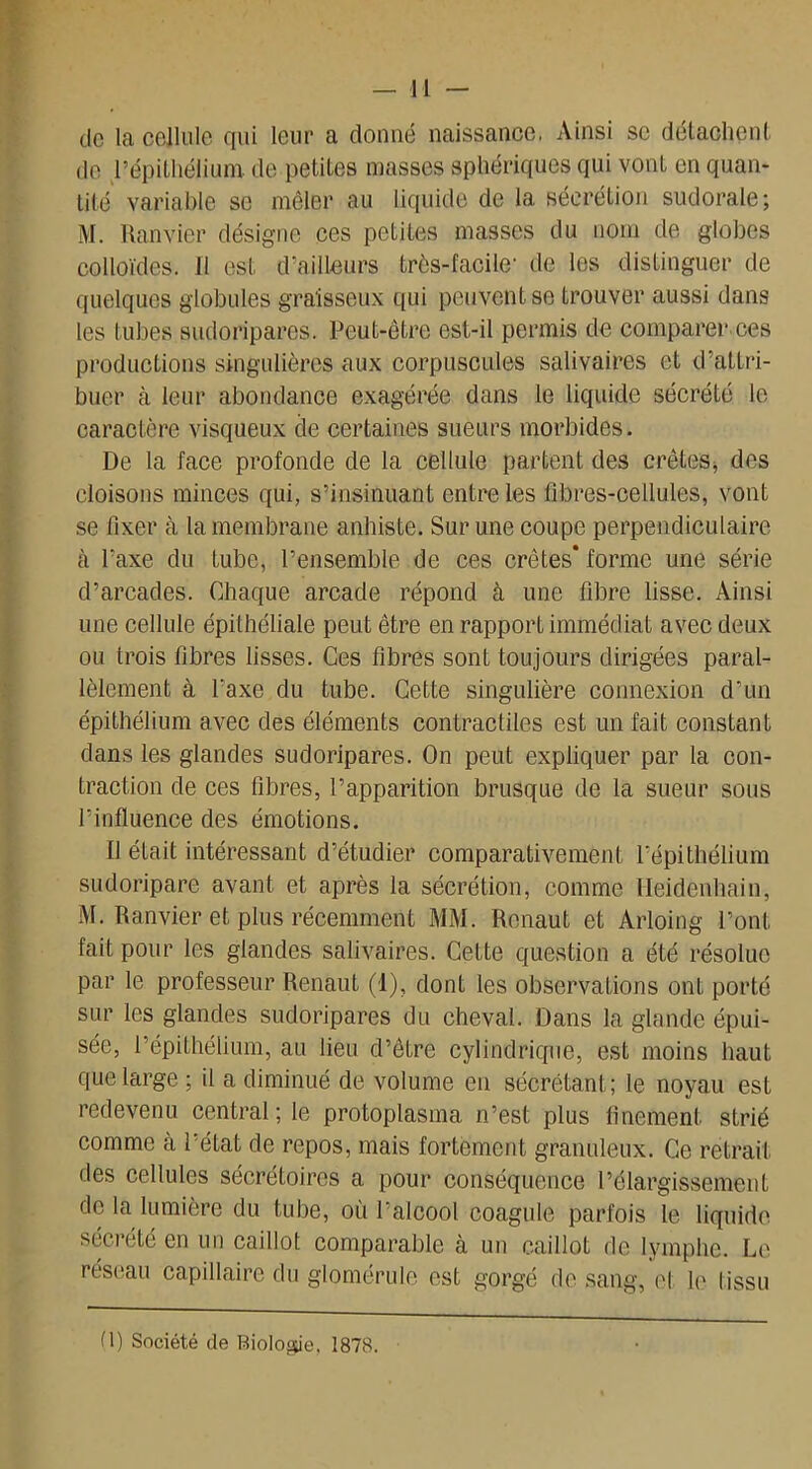 de la cellule qui leur a donné naissance. Ainsi sc détachent de l’épithélium de petites masses sphériques qui vont en quan- tité variable se mêler au liquide de la sécrétion sudorale; M. Ranvier désigne ces petites masses du nom de globes colloïdes. 11 est d’ailleurs très-facile1 de les distinguer de quelques globules graisseux qui peuvent se trouver aussi dans les tubes sudoripares. Peut-être est-il permis de comparer ces productions singulières aux corpuscules salivaires et d’attri- buer à leur abondance exagérée dans le liquide sécrété le caractère visqueux de certaines sueurs morbides. De la face profonde de la cellule partent des crêtes* des cloisons minces qui, s’insinuant entre les fibres-cellules, vont se fixer à la membrane anhiste. Sur une coupe perpendiculaire cà l’axe du tube, l’ensemble de ces crêtes* forme une série d’arcades. Chaque arcade répond à une fibre lisse. Ainsi une cellule épithéliale peut être en rapport immédiat avec deux ou trois fibres lisses. Ces fibres sont toujours dirigées paral- lèlement à l’axe du tube. Cette singulière connexion d’un épithélium avec des éléments contractiles est un fait constant dans les glandes sudoripares. On peut expliquer par la con- traction de ces fibres, l’apparition brusque de la sueur sous l’influence des émotions. Il était intéressant d’étudier comparativement l’épithélium sudoripare avant et après la sécrétion, comme Ileidenhain, M. Ranvier et plus récemment MM. Renaut et Arloing l’ont fait pour les glandes salivaires. Cette question a été résolue par le professeur Renaut (1), dont les observations ont porté sur les glandes sudoripares du cheval. Dans la glande épui- sée, l’épithélium, au lieu d’être cylindrique, est moins haut que large ; il a diminué de volume en sécrétant; le noyau est redevenu central ; le protoplasma n’est plus finement strié comme à l’état de repos, mais fortement granuleux. Ce retrait des cellules sécrétoires a pour conséquence L’élargissement de la lumière du tube, où l’alcool coagule parfois le liquide sécrété en un caillot comparable à un caillot de lymphe. Le réseau capillaire du glomérule est gorgé de sang, cl h' |issu