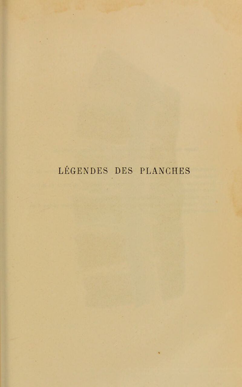 LÉGENDES DES PLANCHES