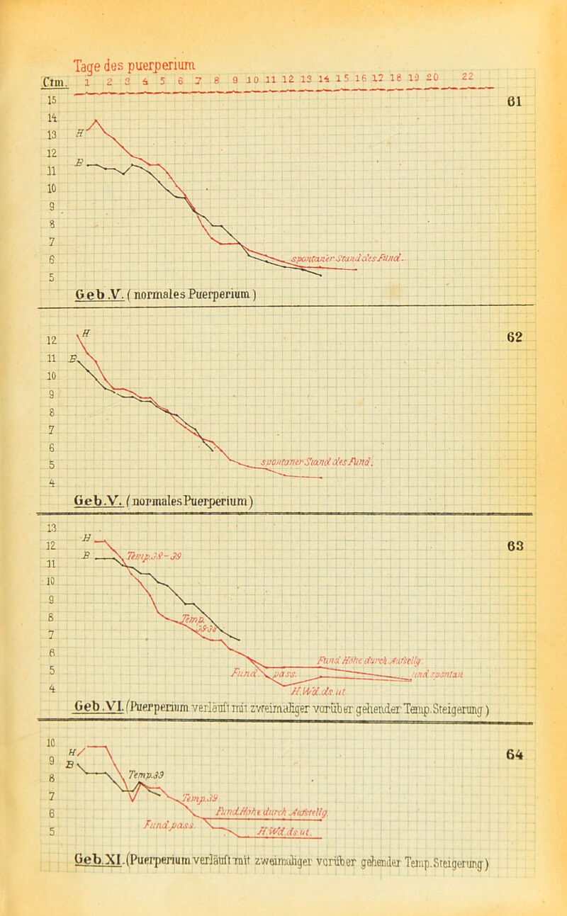 Ctrn. 1 2 3 S 5 6 7 B 9 10 11 12 13 14 15 16 \7 16 10 £0 22 61 spontaner Stand des Hund. 62 spontaner-Stand desfund. Geb.V. (normalesPuerper ium) 13 12 lt 10 9 6 7 6 5 4 63 Rind Höhe durch MfslUj nd Spontan HM'tLds.ui. Geb .VI. (Puerperium verläuft mii zweimaliger varub er gellender Tenip.Steigerung) 64