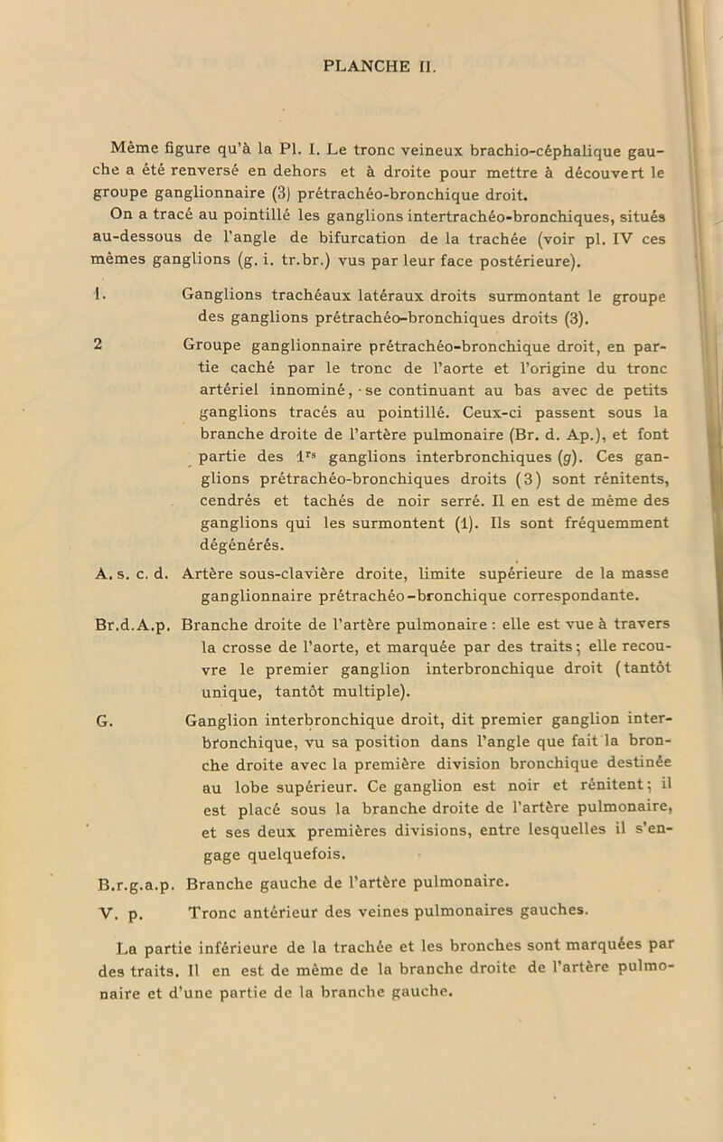 Même figure qu’à la PL I. Le tronc veineux brachio-céphalique gau- che a été renversé en dehors et à droite pour mettre à découvert le groupe ganglionnaire (3) prétrachéo-bronchique droit. On a tracé au pointillé les ganglions intertrachéo-bronchiques, situés au-dessous de l’angle de bifurcation de la trachée (voir pl. IV ces mêmes ganglions (g. i. tr.br.) vus par leur face postérieure). !• Ganglions trachéaux latéraux droits surmontant le groupe des ganglions prétrachéo-bronchiques droits (3). 2 Groupe ganglionnaire prêtrachéo-bronchique droit, en par- tie caché par le tronc de l’aorte et l’origine du tronc artériel innominé, • se continuant au bas avec de petits ganglions tracés au pointillé. Ceux-ci passent sous la branche droite de l’artère pulmonaire (Br. d. Ap.), et font partie des lrs ganglions interbronchiques (g). Ces gan- glions prétrachéo-bronchiques droits (3) sont rénitents, cendrés et tachés de noir serré. Il en est de même des ganglions qui les surmontent (1). Ils sont fréquemment dégénérés. A. s. c. d. Artère sous-clavière droite, limite supérieure de la masse ganglionnaire prétrachéo-bronchique correspondante. Br.d.A.p. Branche droite de l’artère pulmonaire : elle est vue à travers la crosse de l’aorte, et marquée par des traits 5 elle recou- vre le premier ganglion interbronchique droit (tantôt unique, tantôt multiple). G. Ganglion interbronchique droit, dit premier ganglion inter- bronchique, vu sa position dans l’angle que fait la bron- che droite avec la première division bronchique destinée au lobe supérieur. Ce ganglion est noir et rénitent; il est placé sous la branche droite de l’artère pulmonaire, et ses deux premières divisions, entre lesquelles il s’en- gage quelquefois. B. r.g.a.p. Branche gauche de l’artère pulmonaire. V. p. Tronc antérieur des veines pulmonaires gauches. La partie inférieure de la trachée et les bronches sont marquées par des traits. Il en est de même de la branche droite de l’artère pulmo- naire et d’une partie de la branche gauche.