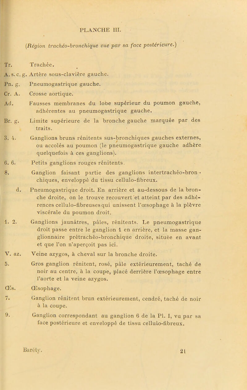 Tr. A. s. c. Pn. g, Cr. A. Ad. Br. g. 3. 4. 6. 6. 8. d. 1. 2. V. az. 5. Œs. 7. 9. (Région trachéo-bronchique vue par sa face postérieure.) Trachée. . Artère sous-clavière gauche. Pneumogastrique gauche. Crosse aortique. Fausses membranes du lobe supérieur du poumon gauche, adhérentes au pneumogastrique gauche. Limite supérieure de la bronche gauche marquée par des traits. Ganglions bruns rénitents sus-bronchiques gauches externes, ou accolés au poumon (le pneumogastrique gauche adhère quelquefois à ces ganglions). Petits ganglions rouges rénitents. Ganglion faisant partie des ganglions intertrachéo-bron * chiques, enveloppé du tissu cellulo-fibreux. Pneumogastrique droit. En arrière et au-dessous de la bron- che droite, on le trouve recouvert et atteint par des adhé- rences cellulo-fibreusesqui unissent l’œsophage à la plèvre viscérale du poumon droit. Ganglions jaunâtres, pâles, rénitents. Le pneumogastrique droit passe entre le ganglion 1 en arrière, et la masse gan- glionnaire prétrachéo-bronchique droite, située en avant et que l’on n’aperçoit pas ici. Veine azygos, à cheval sur la bronche droite. Gros ganglion rénitent, rosé, pâle extérieurement, taché de noir au centre, à la coupe, placé derrière l’œsophage entre l’aorte et la veine azygos. Œsophage. Ganglion rénitent brun extérieurement, cendré, taché de noir à la coupe. Ganglion correspondant au ganglion 6 de la PI. I, vu par sa face postérieure et enveloppé de tissu cellulo-fibreux. Baréty. 21