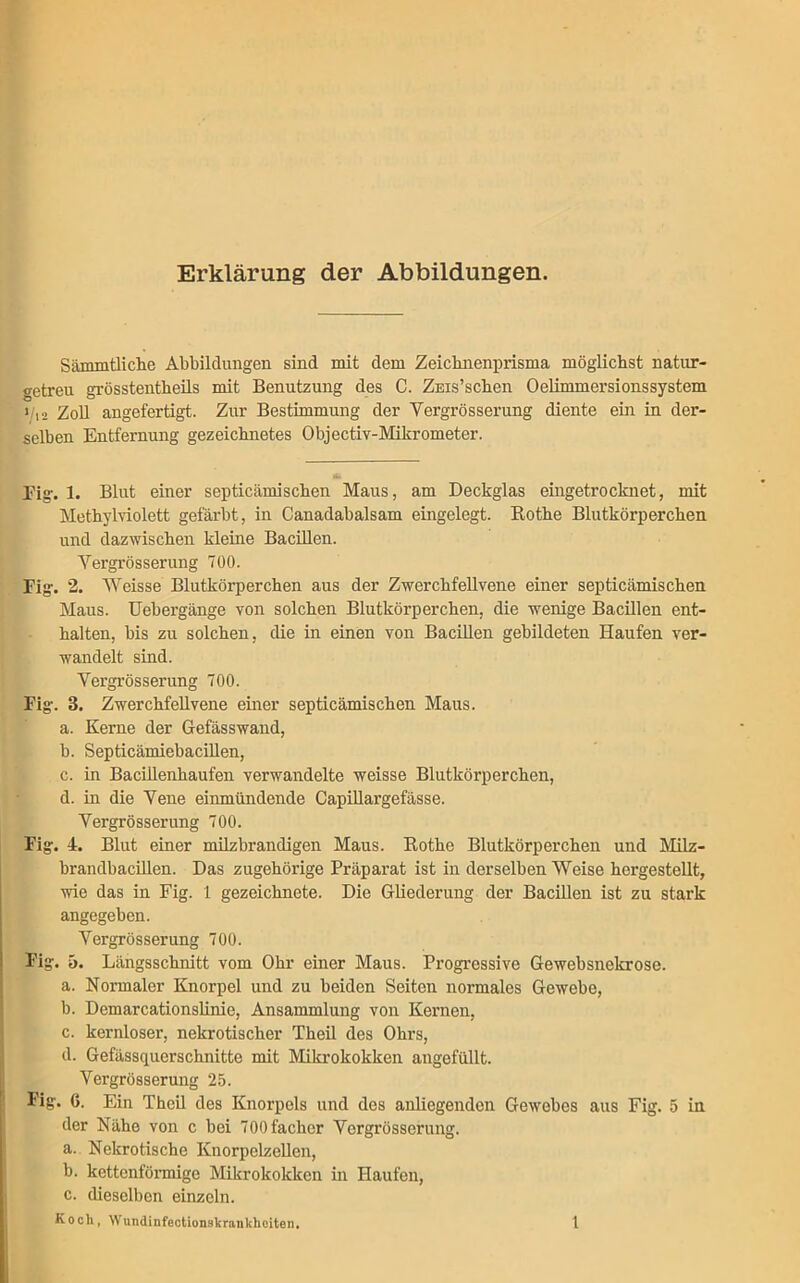 Erklärung der Abbildungen. Sämmtliche Abbildungen sind mit dem Zeichnenprisma möglichst natur- getreu grösstentheils mit Benutzung des C. Znis’scken Oelimmersionssystem t/,2 Zoll angefertigt. Zur Bestimmung der Yergrösserung diente ein in der- selben Entfernung gezeichnetes Objectiv-Mikrometer. Big. 1. Blut einer septicämischen Maus, am Deckglas eingetrocknet, mit Methylviolett gefärbt, in Canadabalsam eingelegt. Bothe Blutkörperchen und dazwischen kleine Bacillen. Yergrösserung 700. Fig. 2. Weisse Blutkörperchen aus der Zwerchfellvene einer septicämischen Maus. Uebergänge von solchen Blutkörperchen, die wenige Bacillen ent- halten, bis zu solchen, die in einen von Bacillen gebildeten Haufen ver- wandelt sind. Yergrösserung 700. Fig. B. Zwerchfellvene einer septicämischen Maus. a. Kerne der Gefässwand, b. Septicämiebacillen, c. in Bacillenhaufen verwandelte weisse Blutkörperchen, d. in die Yene einmündende Capillargcfässe. Yergrösserung 700. Fig. 4:. Blut einer milzbrandigen Maus. Rothe Blutkörperchen und Milz- brandbacillen. Das zugehörige Präparat ist in derselben Weise her-gestellt, wie das in Fig. 1 gezeichnete. Die Gliederung der Bacillen ist zu stark angegeben. Yergrösserung 700. Fig. 5. Längsschnitt vom Ohr einer Maus. Progressive Gewebsnekrose. a. Normaler Knorpel und zu beiden Seiten normales Gewebe, b. Demarcationslinie, Ansammlung von Kernen, c. kernloser, nekrotischer Theil des Ohrs, d. Gefässquerschnittc mit Mikrokokken angefüllt. Vergrösserung 25. Fig. 6. Ein Theil des Knorpels und des anliegenden Gewebes aus Fig. 5 in der Nähe von c bei 700facker Yergrösserung. a. Nekrotische Knorpelzellen, b. kettenförmige Mikrokokken in Haufen, c. dieselben einzeln.