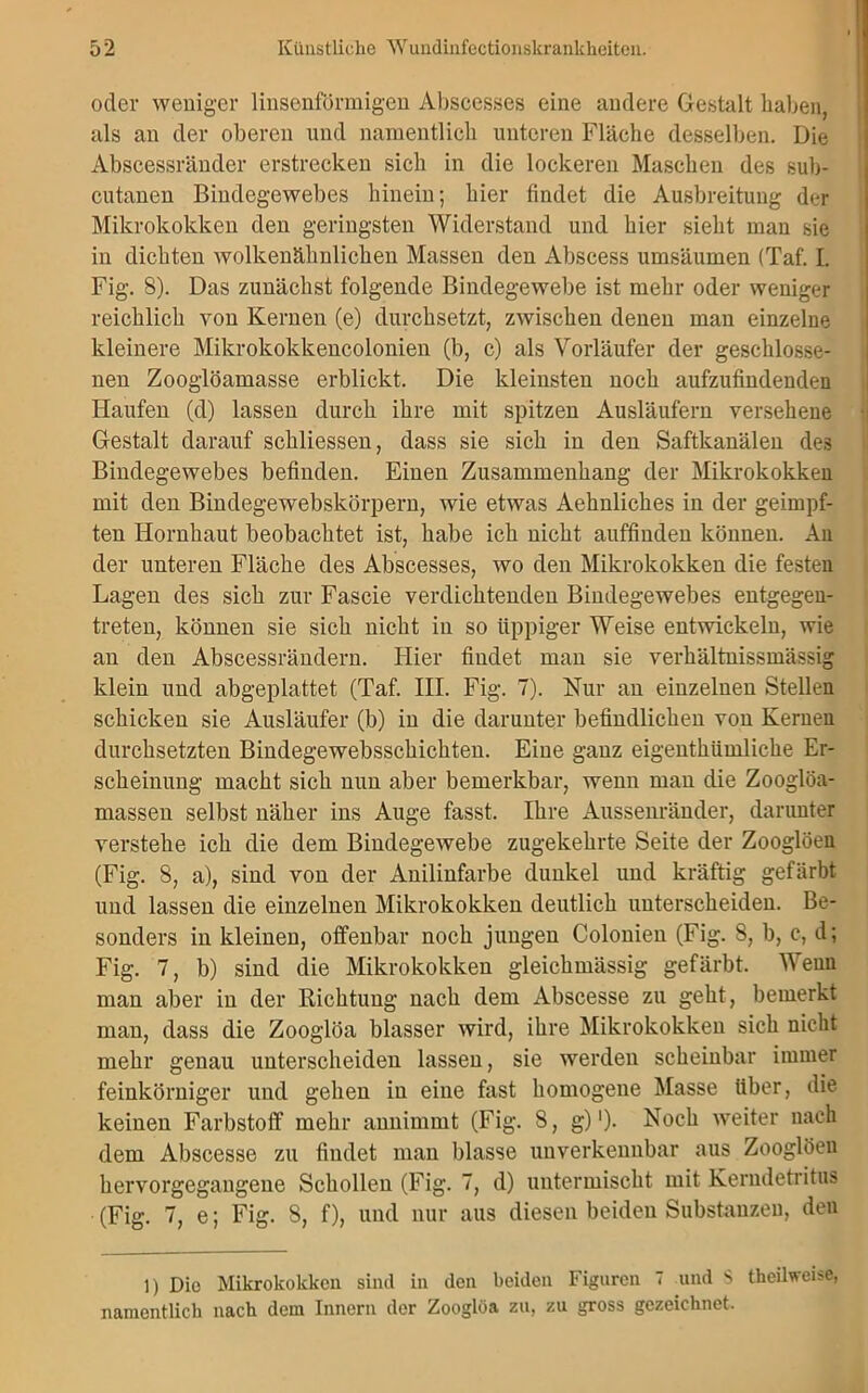 oder weniger linsenförmigen Abscesses eine andere Gestalt haben, als an der oberen und namentlich unteren Fläche desselben. Die Abscessränder erstrecken sich in die lockeren Maschen des sub- cutanen Bindegewebes hinein; hier findet die Ausbreitung der Mikrokokken den geringsten Widerstand und hier sieht man sie in dichten wolkenähnlichen Massen den Abscess umsäumen (Taf. L Fig. 8). Das zunächst folgende Bindegewebe ist mehr oder weniger reichlich von Kernen (e) durchsetzt, zwischen denen man einzelne kleinere Mikrokokkencolonien (b, c) als Vorläufer der geschlosse- nen Zooglöamasse erblickt. Die kleinsten noch aufzufindenden Haufen (d) lassen durch ihre mit spitzen Ausläufern versehene Gestalt darauf schliessen, dass sie sich in den Saftkanälen des Bindegewebes befinden. Einen Zusammenhang der Mikrokokken mit den Bindegewebskörpern, wie etwas Aehnliches in der geimpf- ten Hornhaut beobachtet ist, habe ich nicht auffinden können. An der unteren Fläche des Abscesses, wo den Mikrokokken die festen Lagen des sich zur Fascie verdichtenden Bindegewebes entgegen- treten, können sie sich nicht in so üppiger Weise entwickeln, wie an den Abscessrändern. Hier findet man sie verhältnissmässig klein und abgeplattet (Taf. III. Fig. 7). Nur an einzelnen Stellen schicken sie Ausläufer (b) in die darunter befindlichen von Kernen durchsetzten Bindegewebsschichten. Eine ganz eigenthümliche Er- scheinung macht sich nun aber bemerkbar, wenn man die Zooglöa- massen selbst näher ins Auge fasst. Ihre Aussenränder, darunter verstehe ich die dem Bindegewebe zugekehrte Seite der Zooglöen (Fig. 8, a), sind von der Anilinfarbe dunkel und kräftig gefärbt und lassen die einzelnen Mikrokokken deutlich unterscheiden. Be- sonders in kleinen, offenbar noch jungen Colonien (Fig. 8, b, c, d; Fig. 7, b) sind die Mikrokokken gleichmässig gefärbt. Wenn man aber in der Richtung nach dem Abscesse zu geht, bemerkt man, dass die Zooglöa blasser wird, ihre Mikrokokken sich nicht mehr genau unterscheiden lassen, sie werden scheinbar immer feinkörniger und gehen in eine fast homogene Masse Uber, die keinen Farbstoff mehr annimmt (Fig. 8, g) ')• Noch weiter nach dem Abscesse zu findet man blasse unverkennbar aus Zooglöen hervorgegangene Schollen (Fig. 7, d) untermischt mit Kerudetritus (Fig. 7, e; Fig. S, f), und nur aus diesen beiden Substanzen, den 1) Die Mikrokokken sind in den beiden Figuren 7 und S theilweise, namentlich nach dem Innern der Zooglöa zu, zu gross gezeichnet.