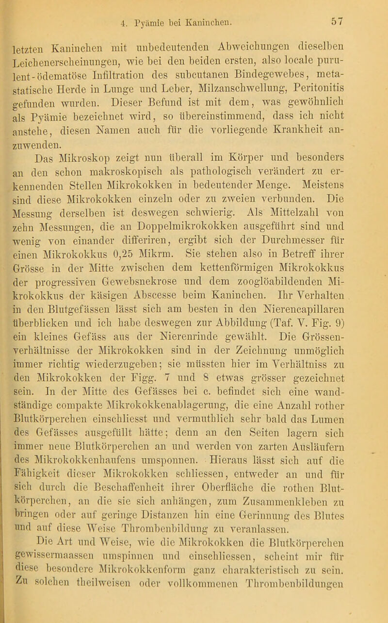 letzten Kaninchen mit unbedeutenden Abweichungen dieselben Leichenerscheinungen, wie bei deu beiden ersten, also locale puru- lent -ödematöse Infiltration des subcutanen Bindegewebes, meta- statische Herde in Lunge und Leber, Milzanschwellung, Peritonitis gefunden wurden. Dieser Befund ist mit dem, was gewöhnlich als Prämie bezeichnet wird, so übereinstimmend, dass ich nicht anstelle, diesen Namen auch für die vorliegende Krankheit an- zuwenden. Das Mikroskop zeigt nun überall im Körper und besonders an den schon makroskopisch als pathologisch verändert zu er- kennenden Stellen Mikrokokken in bedeutender Menge. Meistens sind diese Mikrokokken einzeln oder zu zweien verbunden. Die Messung derselben ist deswegen schwierig. Als Mittelzahl von zehn Messungen, die an Doppelmikrokokken ausgeführt sind und wenig von einander differiren, ergibt sich der Durchmesser für einen Mikrokokkus 0,25 Mikrm. Sie stehen also in Betreff ihrer Grösse in der Mitte zwischen dem kettenförmigen Mikrokokkus der progressiven Gewebsnekrose und dem zooglöabildenden Mi- krokokkus der käsigen Abscesse beim Kaninchen. Ihr Verhalten in den Blutgefässen lässt sich am besten in den Nierencapillaren überblicken und ich habe deswegen zur Abbildung (Taf. V. Fig. 9) ein kleines Gefäss aus der Nierenrinde gewählt. Die Grössen- verhältnisse der Mikrokokken sind in der Zeichnung unmöglich immer richtig wiederzugeben-, sie müssten hier im Verhältuiss zu den Mikrokokken der Figg. 7 und 8 etwas grösser gezeichnet sein. In der Mitte des Gefässes bei c. befindet sich eine wand- ständige compakte Mikrokokkenablagerung, die eine Anzahl rother Blutkörperchen einschliesst und vermuthlich sehr bald das Lumen des Gefässes ausgefüllt hätte; denn an den Seiten lagern sich immer neue Blutkörperchen an und werden von zarten Ausläufern des Mikrokokkenhaufens umsponnen. Hieraus lässt sich auf die Fähigkeit dieser Mikrokokken schliessen, entweder an und für sich durch die Beschaffenheit ihrer Oberfläche die rothen Blut- körperchen, an die sie sich anhängen, zum Zusammenkleben zu bringen oder auf geringe Distanzen hin eine Gerinnung des Blutes und auf diese Weise Thrombenbildung zu veranlassen. Die Art und Weise, wie die Mikrokokken die Blutkörperchen gewissermaassen umspinnen und cinschliessen, scheint mir für diese besondere Mikrokokkenform ganz charakteristisch zu sein. Zu solchen tlieilweisen oder vollkommenen Thrombenbildungen