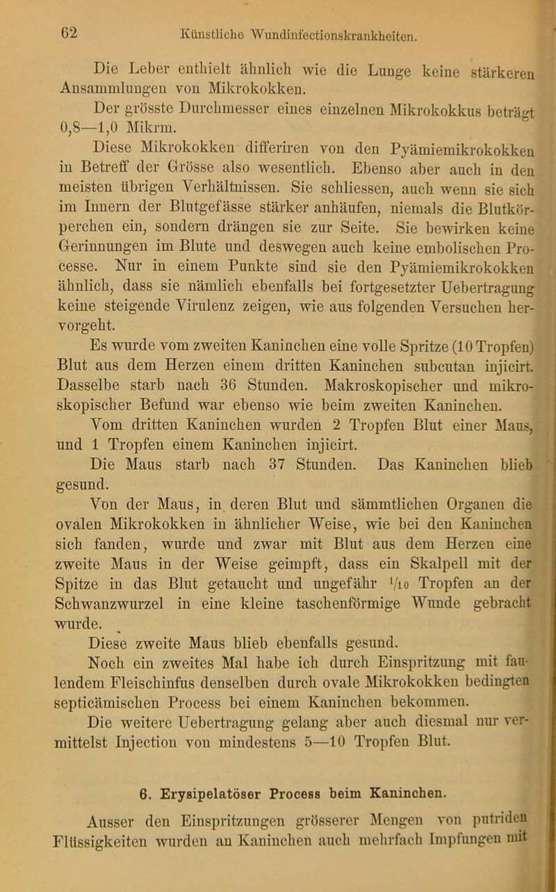 Die Leber enthielt ähnlich wie die Lunge keine stärkeren Ansammlungen von Mikrokokken. Der grösste Durchmesser eines einzelnen Mikrokokkus beträgt! 0,8—1,0 Mikrm. Diese Mikrokokken differiren von den Pyämiemikrokokken in Betreff der Grösse also wesentlich. Ebenso aber auch in den meisten übrigen Verhältnissen. Sie schliessen, auch wenn sie sich im Innern der Blutgefässe stärker anhäufen, niemals die Blutkör- perchen ein, sondern drängen sie zur Seite. Sie bewirken keine Gerinnungen im Blute und deswegen auch keine embolischen Pro- cesse. Nur in einem Punkte sind sie den Pyämiemikrokokken ähnlich, dass sie nämlich ebenfalls bei fortgesetzter Uebertragungj keine steigende Virulenz zeigen, wie aus folgenden Versuchen her- vorgeht. Es wurde vom zweiten Kaninchen eine volle Spritze (10 Tropfen) Blut aus dem Herzen einem dritten Kaninchen subcutan injicirt. Dasselbe starb nach 36 Stunden. Makroskopischer und mikro- skopischer Befund war ebenso wie beim zweiten Kaninchen. Vom dritten Kaninchen wurden 2 Tropfen Blut einer Maus, und 1 Tropfen einem Kaninchen injicirt. Die Maus starb nach 37 Stunden. Das Kaninchen blieb gesund. Von der Maus, in deren Blut und sämmtlichen Organen die ovalen Mikrokokken in ähnlicher Weise, wie bei den Kaninchen sich fanden, wurde und zwar mit Blut aus dem Herzen eine zweite Maus in der Weise geimpft, dass ein Skalpell mit der Spitze in das Blut getaucht und ungefähr l/io Tropfen an der Schwanzwurzel in eine kleine taschenförmige Wunde gebracht wurde. Diese zweite Maus blieb ebenfalls gesund. Noch ein zweites Mal habe ich durch Einspritzung mit fau- lendem Fleischinfus denselben durch ovale Mikrokokken bedingten septicämischen Process bei einem Kaninchen bekommen. Die weitere Uebertragung gelang aber auch diesmal nur ver- mittelst Injection von mindestens 5—10 Tropfen Blut. 6. Erysipelatöser Process beim Kaninchen. Ausser den Einspritzungen grösserer Mengen von putriden Flüssigkeiten wurden an Kaninchen auch mehrfach Impfungen mit