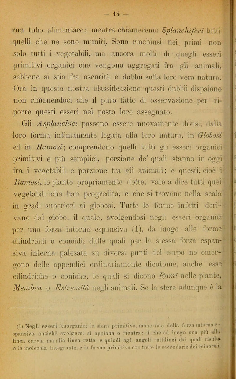 rim tuba alimentare; mentre chiameremo Sbianchi furi tutti quelli che ne sono muniti. Sono rinchiusi nei. primi non solo tutti i vegetabili, ma ancora molti di quegli esseri primitivi organici che vengono aggregati fra gli animali, sebbene si stia fra oscurità e dubbii sulla loro vera natura. -Ora in questa nostra classificazione questi dubbii dispaiono non rimanendoci che il puro fatto di osservazione per ri- porre questi esseri nel posto loro assegnato. Gli Asplanchici possono essere nuovamente divisi, dalla loro forma intimamente legata alla loro natura, in Globosi ed in Bainosi; comprendono quelli tutti gli esseri organici primitivi e piu semplici, porzione de’ quali stanno in oggi fra i vegetabili e porzione fra gli animali; e questi, cioè i Bainosi, le piante propriamente dette, vale a dire tutti quei- vegetabili che han progredito, e che si trovano nella scala in gradi superiori ai globosi. Tutte le forme infatti deri-1 vano dal globo, il quale, svolgendosi negli esseri organici per una forza interna espansiva (1). dà luogo alle forme cilindroidi o conoidi ; dalle quali per la stessa forza espan- siva interna palesata su diversi punti del corpo ne emer- gono delle appendici ordinariamente dicotome, anche esse cilindriche o coniche, le quali si dicono Rami nelle piante, Membra o Estremità negli animali. Se la sfera adunque è la (l) Negli esseri Anorganici hi sforo primitiva, mane nido «lolla forza interna c- gpansiva, anziché svolgersi si appiana o rientra; il ohe <h\ luogo non più alla linea curva, ma alia linea retta, e quindi agli angoli rettilinei dai quali risulta o la molecola, integrante, e 1t forma primitiva con tutto le secondane dei minerali.