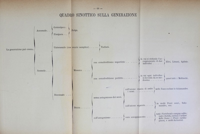 QUADRO SINOTTICO SULLA GENERAZIONE Gemmipara . i Asessuale . . } Polipi. Fissipara. . . La generazione può essere Sessuale Unisessuale (con ovario semplice) ; Radiar! Monoica. Bisessuale . . • Dioica / con ermafroditismo imperfetto con ermafroditismo perfetto. in cui si richiede Uac- l coppiamento di due Elicij Limaci, Aplisie. individui. ...... I in cui ogni individuo si feconda da se me- quasi tutti i Molluschi, desimo I coll’azione riunita di ambo } nelle Rane escluse le Salamandre, i sessi. . . I senza antagonismo dei sessi. coll’azione separata coll’antagonismo j vero accoppiamento in molti Pesci ossei, Sala- mandre, ecc. tutti i Vertebrati a sangue caldo; tutti i Rettili, escluso l’ordine delle Rane; i Pesci cartila- ginosi, e molti Articolati. D 7