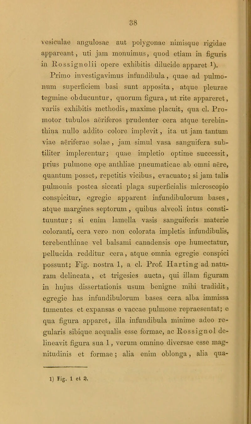 vesiculae angulosae aut polygonae nimisque rigidae appareant, uti jam monuimus, quod etiam in figuris in Rossignolii opere exhibitis dilucide apparet *). Primo investigavimus infundibula, quae ad pulmo- num superficiem basi sunt apposita, atque pleurae tegmine obducuntur, quorum figura, ut rite appareret, variis exhibitis methodis, maxime placuit, qua cl. Pro- motor tubulos aeriferos prudenter cera atque terebin- thina nullo addito colore implevit, ita ut jam tantum viae aeriferae solae , jam simul vasa sanguifera sub- tiliter implerentur; quae impletio optime successit, prius pulmone ope anthliae pneumaticae ab omni aere, quantum posset, repetitis vicibus, evacuato; si jam talis pulmonis postea siccati plaga supeidicialis microscopio conspicitur, egregie apparent infundibulorum bases, atque margines septorum, quibus alveoli intus consti- tuuntur ; si enim lamella vasis sanguiferis materie coloranti, cera vero non colorata impletis infundibulis, terebenthinae vel balsami canadensis oj)e humectatur, pellucida redditur cera, atque omnia egregie conspici possunt; Pig. nostra 1, a cl. Prof. Harting ad natu- ram delineata, et trigesies aucta, qui illam figuram in hujus dissertationis usum benigne mihi tradidit, eo-regie has infundibulorum bases cera alba immissa tumentes et expansas e vaccae pulmone repraesentat; e qua figura apparet, illa infundibula minime adeo re- gularis sibique aequalis esse formae, ac Rossignol de- lineavit figura sua 1, verum omnino diversae esse mag- nitudinis et formae; alia enim oblonga, alia qua- 1) Fig. 1 et 3.