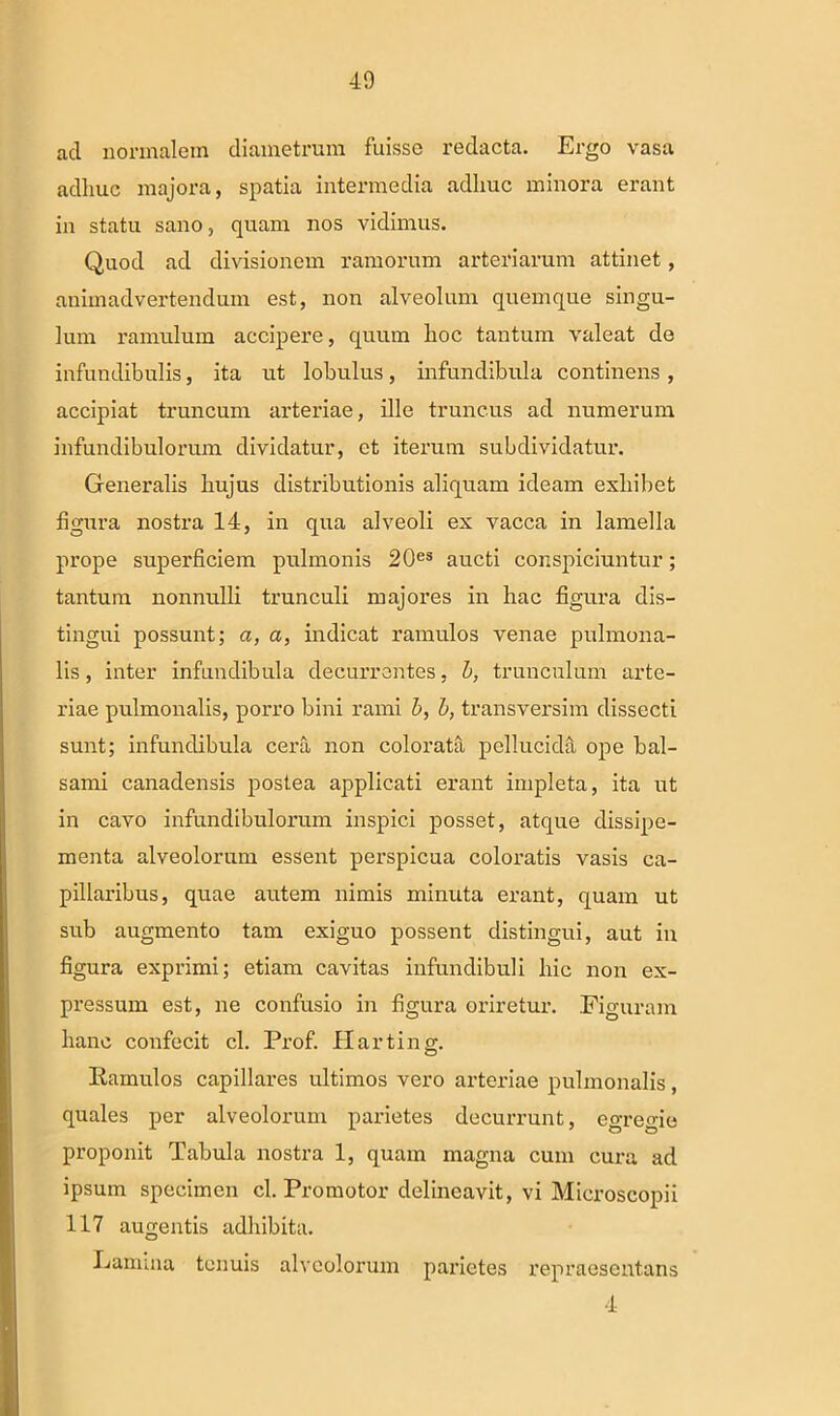 40 ad normalem diametrum fuisse redacta. Ergo vasa adhuc majora, spatia intermedia adhuc minora erant in statu sano, quam nos vidimus. Quod ad divisionem ramorum arteriarum attinet, animadvertendum est, non alveolum quemque singu- lum ramulum accipere, quum hoc tantum valeat de infundibulis, ita ut lobulus, infundibula continens, accipiat truncum arteriae, ille truncus ad numerum infundibulorum dividatur, et iterum subdividatur. Generalis hujus distributionis aliquam ideam exhibet figura nostra 14, in qua alveoli ex vacca in lamella prope superficiem pulmonis 20es aucti conspiciuntur; tantum nonnulli trunculi majores in hac figura dis- tingui possunt; a, a, indicat ramulos venae pulmona- lis, inter infundibula decurrentes, b, trunculum arte- riae pulmonalis, porro bini rami b, b, transversim dissecti sunt; infundibula cera non colorata pellucida ope bal- sami canadensis postea applicati erant impleta, ita ut in cavo infundibulorum inspici posset, atque dissipe- menta alveolorum essent perspicua coloratis vasis ca- pillaribus, quae autem nimis minuta erant, quam ut sub augmento tam exiguo possent distingui, aut in figura exprimi; etiam cavitas infundibuli hic non ex- pressum est, ne confusio in figura oriretur. Figuram hanc confecit cl. Prof. Harting. Hamulos capillares ultimos vero arteriae pulmonalis, quales per alveolorum parietes decurrunt, egregie proponit Tabula nostra 1, quam magna cum cura ad ipsum specimen cl. Promotor delineavit, vi Microscopii 117 augentis adhibita. Lamina tenuis alveolorum parietes repraesentans 4