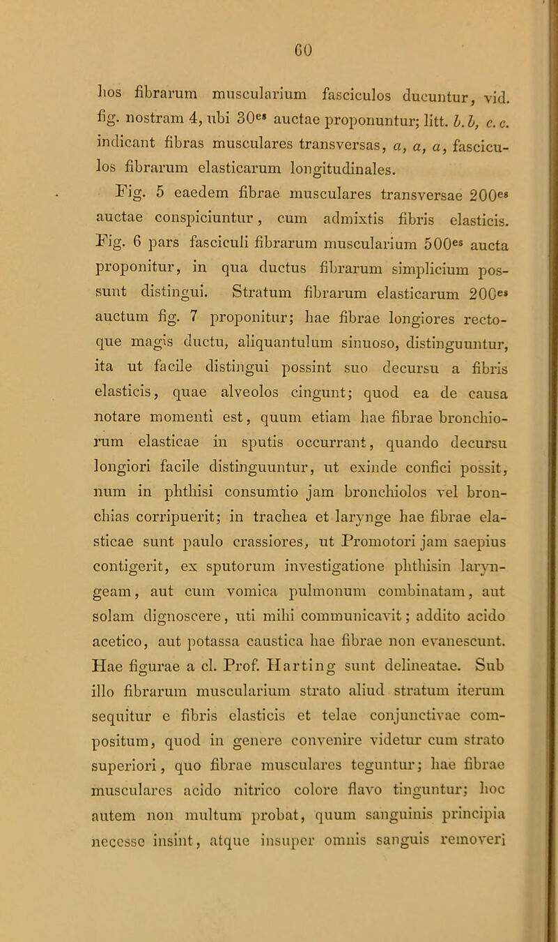 co lios fibrarum muscularium fasciculos ducuntur, vid. fig. nostram 4, ubi 30es auctae proponuntur; litt. b. b, c. c. indicant fibras musculares transversas, a, a, a, fascicu- los fibrarum elasticarum longitudinales. Fig. 5 eaedem fibrae musculares transversae 200e« auctae conspiciuntur, cum admixtis fibris elasticis. Fig. 6 pars fasciculi fibrarum muscularium 500es aucta proponitur, in qua ductus fibrarum simplicium pos- sunt distingui. Stratum fibrarum elasticarum 20Ce> auctum fig. 7 proponitur; hae fibrae longiores recto- que magis ductu, aliquantulum sinuoso, distinguuntur, ita ut facile distingui possint suo decursu a fibris elasticis, quae alveolos cingunt; quod ea de causa notare momenti est, quum etiam hae fibrae bronchio- rum elasticae in sputis occurrant, quando decursu longiori facile distinguuntur, ut exinde confici possit, num in phthisi consumtio jam bronchiolos vel bron- chias corripuerit; in trachea et larynge hae fibrae ela- sticae sunt paulo crassiores, ut Promotori jam saepius contigerit, ex sputorum investigatione phthisin laryn- geam, aut cum vomica pulmonum combinatam, aut solam dignoscere, xiti mihi communicavit; addito acido acetico, aut potassa caustica hae fibrae non evanescunt. Hae figurae a cl. Prof. Harting sunt delineatae. Sub illo fibrarum muscularium strato aliud stratum iterum sequitur e fibris elasticis et telae conjunctivae com- positum, quod in genere convenire videtur cum strato superiori, quo fibrae musculares teguntur; hae fibrae musculares acido nitrico colore flavo tinguntur; hoc autem non multum probat, quum sanguinis principia neccssc insint, atque insuper omnis sanguis removeri