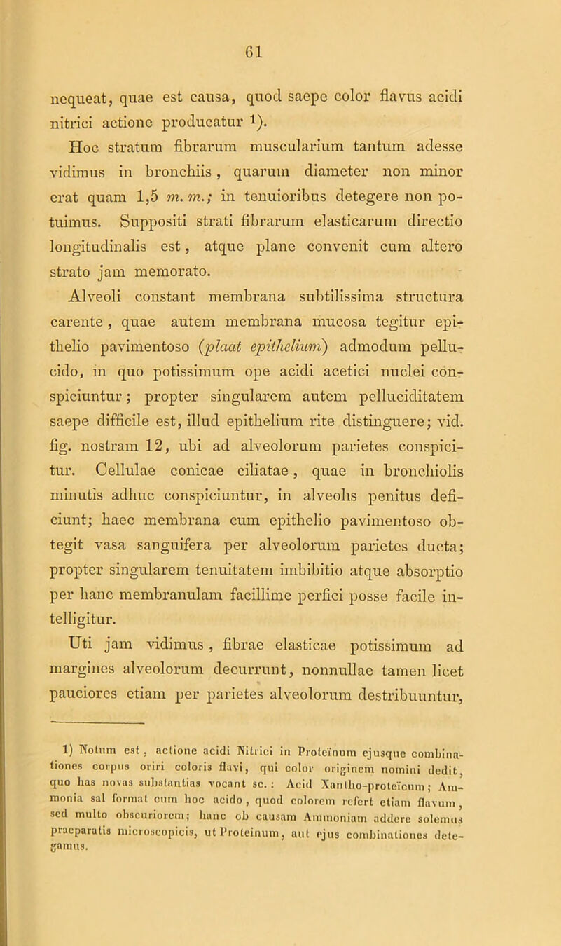 G1 nequeat, quae est causa, quod saepe color flavus acidi nitrici actione producatur t). Hoc stratura fibrarum muscularium tantum adesse vidimus in bronchiis, quarum diameter non minor erat quam 1,5 m.m.; in tenuioribus detegere non po- tuimus. Suppositi strati fibrarum elasticarum directio longitudinalis est, atque plane convenit cum altero strato jam memorato. Alveoli constant membrana subtilissima structura carente, quae autem membrana mucosa tegitur epi- thelio pavimentoso (plaat epithelium) admodum pellu- cido, in quo potissimum ope acidi acetici nuclei con- spiciuntur ; propter singularem autem pelluciditatem saepe difficile est, illud epithelium rite distinguere; vid. fig. nostram 12, ubi ad alveolorum parietes conspici- tur. Cellulae conicae ciliatae, quae in bronchiolis minutis adhuc conspiciuntur, in alveolis penitus defi- ciunt; haec membrana cum epithelio pavimentoso ob- tegit vasa sanguifera per alveolorum parietes ducta; propter singularem tenuitatem imbibitio atque absorptio per hanc membranulam facillime perfici posse facile in- telligitur. Uti jam vidimus , fibrae elasticae potissimum ad margines alveolorum decurrunt, nonnullae tamen licet pauciores etiam per parietes alveolorum destribuuntur, 1) Notum est, actione acidi Nitrici in Proteinum ejusque combina- tiones corpus oriri coloris flavi, qui color originem nomini dedit, quo has novas substantias vocant sc. : Aeid Xantho-proteicum; Am- monia sal format cum hoc acido, quod colorem refert etiam flavum, sed multo obscuriorem; hanc ob causam Ammoniam addere solemus praeparatis microscopicis, ut Proteinum, aut ejus combinationes dete- gamus.