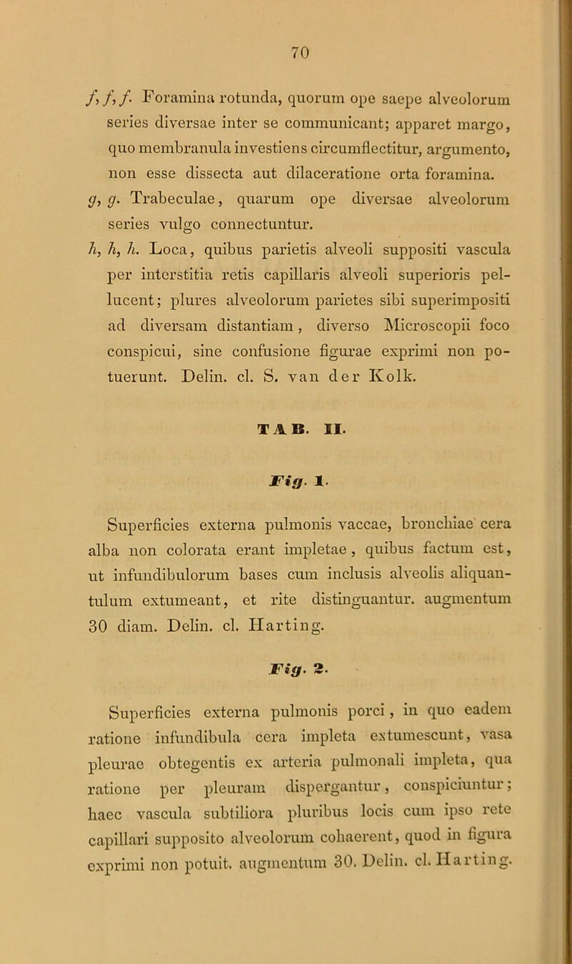 f, /,/. Foramina rotunda, quorum ope saepe alveolorum series diversae inter se communicant; apparet margo, quo membranula investiens circumflectitur, argumento, non esse dissecta aut dilaceratione orta foramina. g, g. Trabeculae, quarum ope diversae alveolorum series Arulgo connectuntur. h, h, h. Loca, quibus parietis alveoli suppositi vascula per interstitia retis capillaris alveoli superioris pel- lucent; plures alveolorum parietes sibi superimpositi ad diversam distantiam, diverso Microscopii foco conspicui, sine confusione figurae exprimi non po- tuerunt. Delin. cl. S. van der Ivolk. TAB. II. Fig. 1. Superficies externa pulmonis vaccae, brouchiae cera alba non colorata erant impletae, quibus factum est, ut infundibulorum bases cum inclusis alveolis aliquan- tulum extumeant, et rite distinguantur, augmentum 30 diam. Delin. cl. Harting. Fit/. 2. Superficies externa pulmonis porci, in quo eadem ratione infundibula cera impleta extumescunt, vasa pleurae obtegentis ex arteria pulmonali impleta, qua ratione per pleuram dispergantur, conspiciuntur; haec vascula subtiliora pluribus locis cum ipso rete capillari supposito alveolorum cohaerent, quod in figura exprimi non potuit, augmentum 30. Delin. cl. Harting.